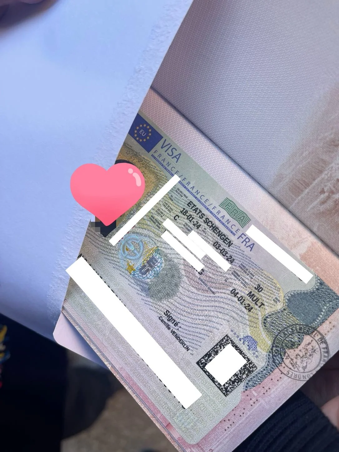 French Journey: A Career Woman's Dream Realized 🇫🇷 Madame Dubois' Success Story with French Travel Visa 🌟