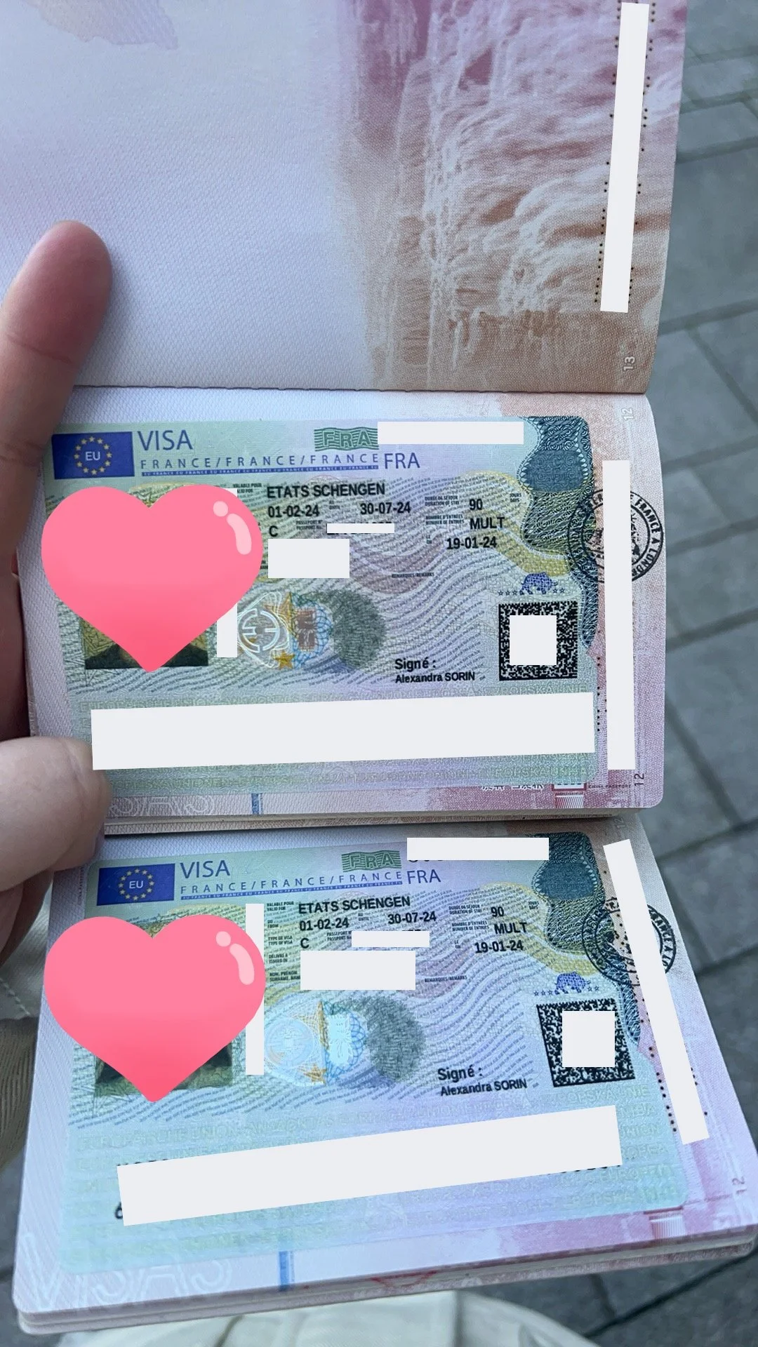 A Shared Journey Story 🇫🇷 Mademoiselle Dubois and Monsieur Martin's French Travel Visa Success Story 🌟