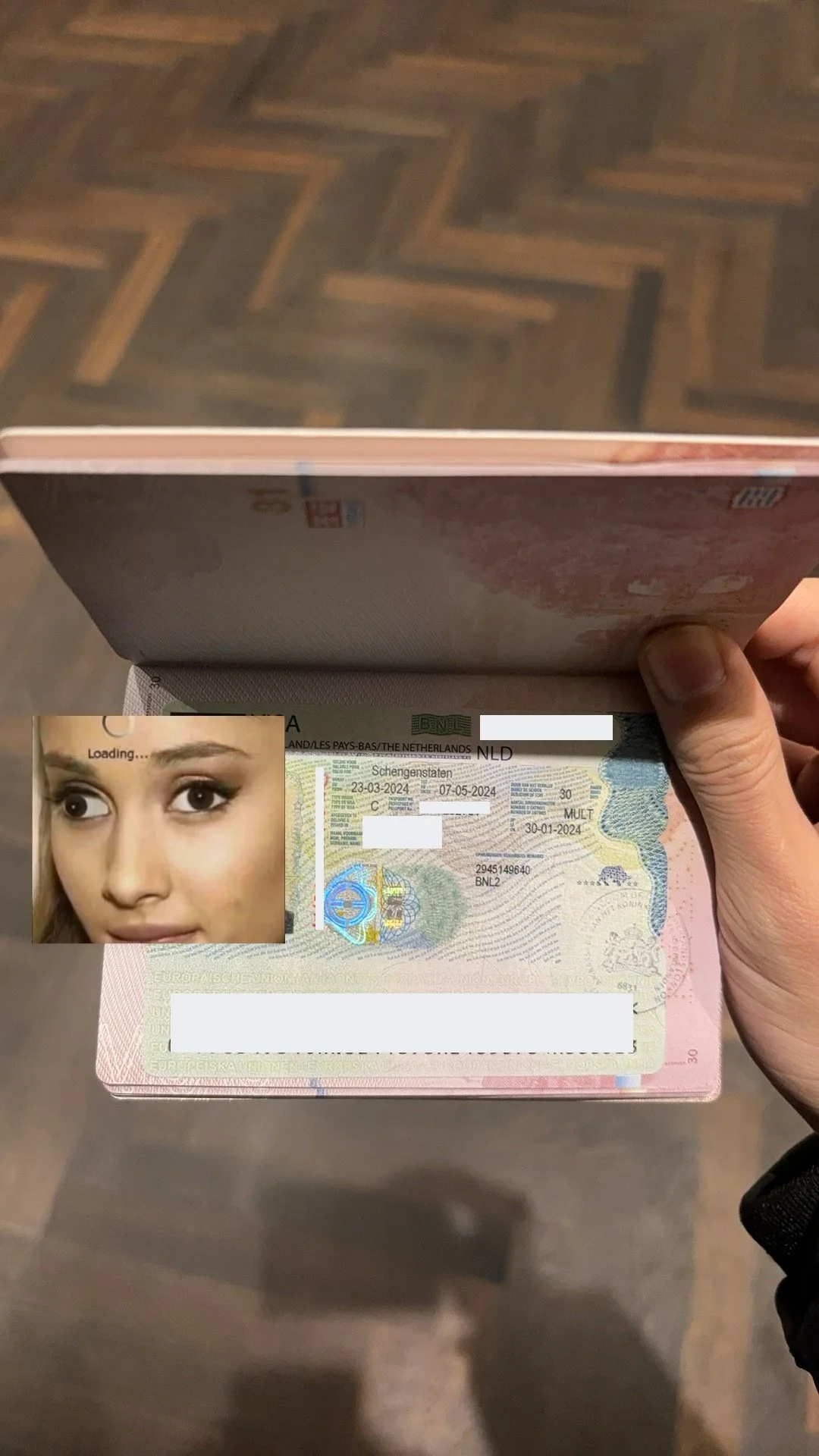 【Dutch Charm, Mr. Van der Meer's Exploration Journey】🇳🇱 Mr. Van der Meer's Successful Dutch Travel Visa Story 🌷