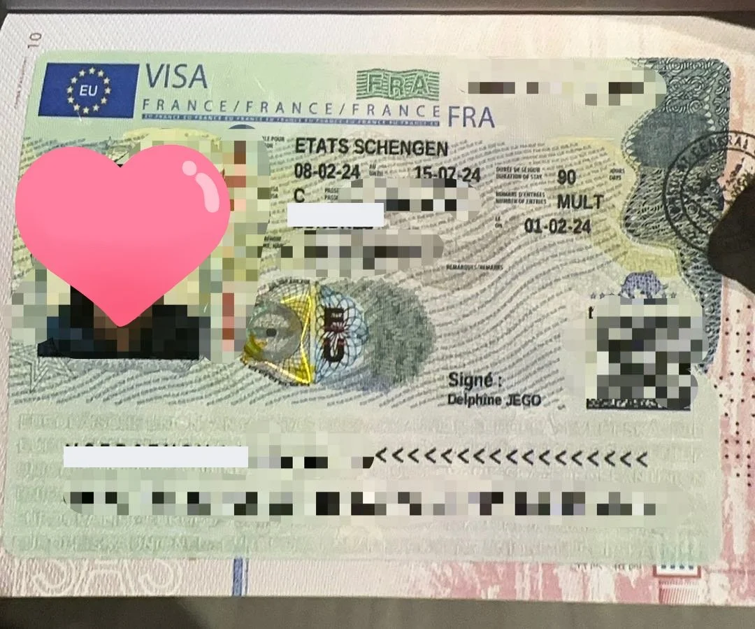 【The Dream of France, Ms. Dubois's Travel Chapter】🇫🇷 Ms. Dubois's Successful French Travel Visa Story 🌟