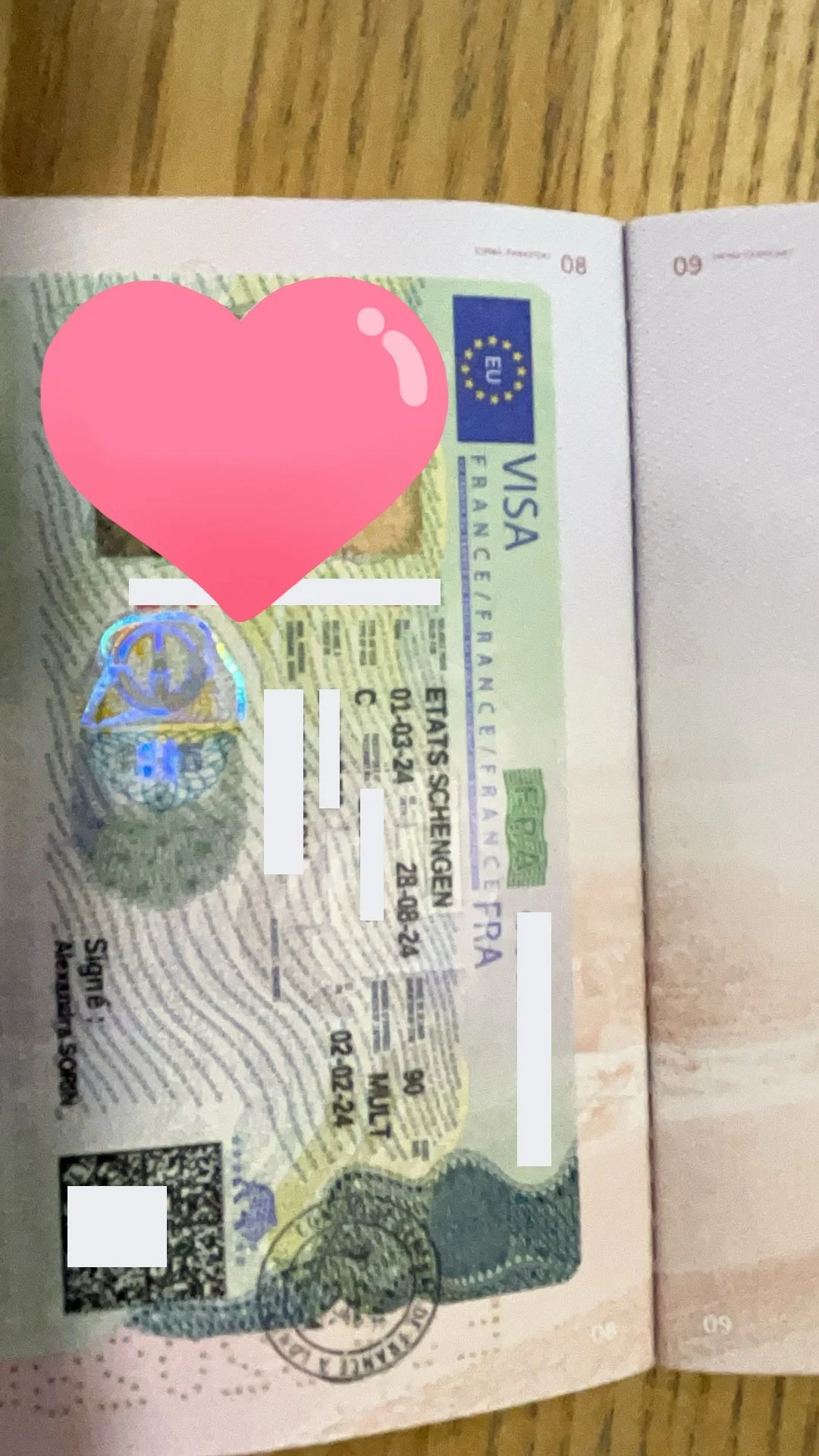 【A Duo's French Journey】🇫🇷 Ms. Dubois and Mr. Martin's Successful French Travel Visa Story 🌟