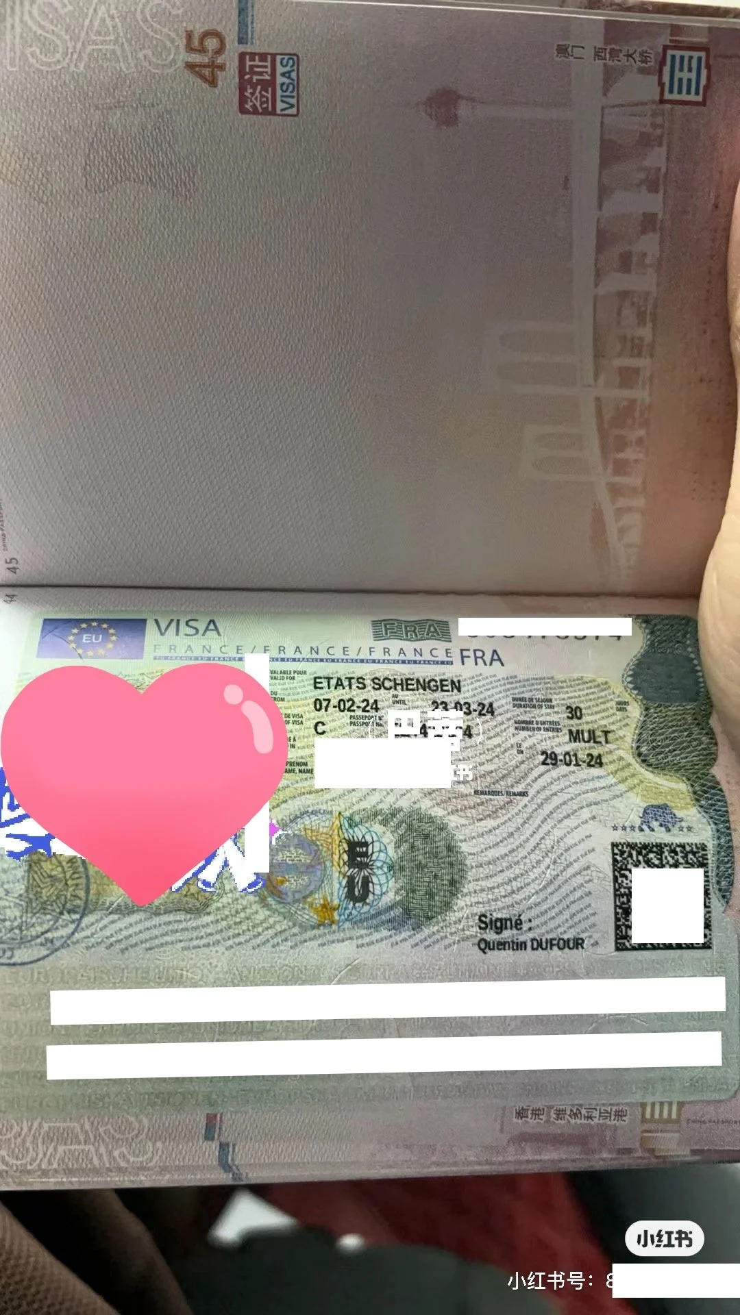 【A Journey to France, Mr. Dupont's New Chapter】🇫🇷 Mr. Dupont's Successful French Travel Visa Story 🌟