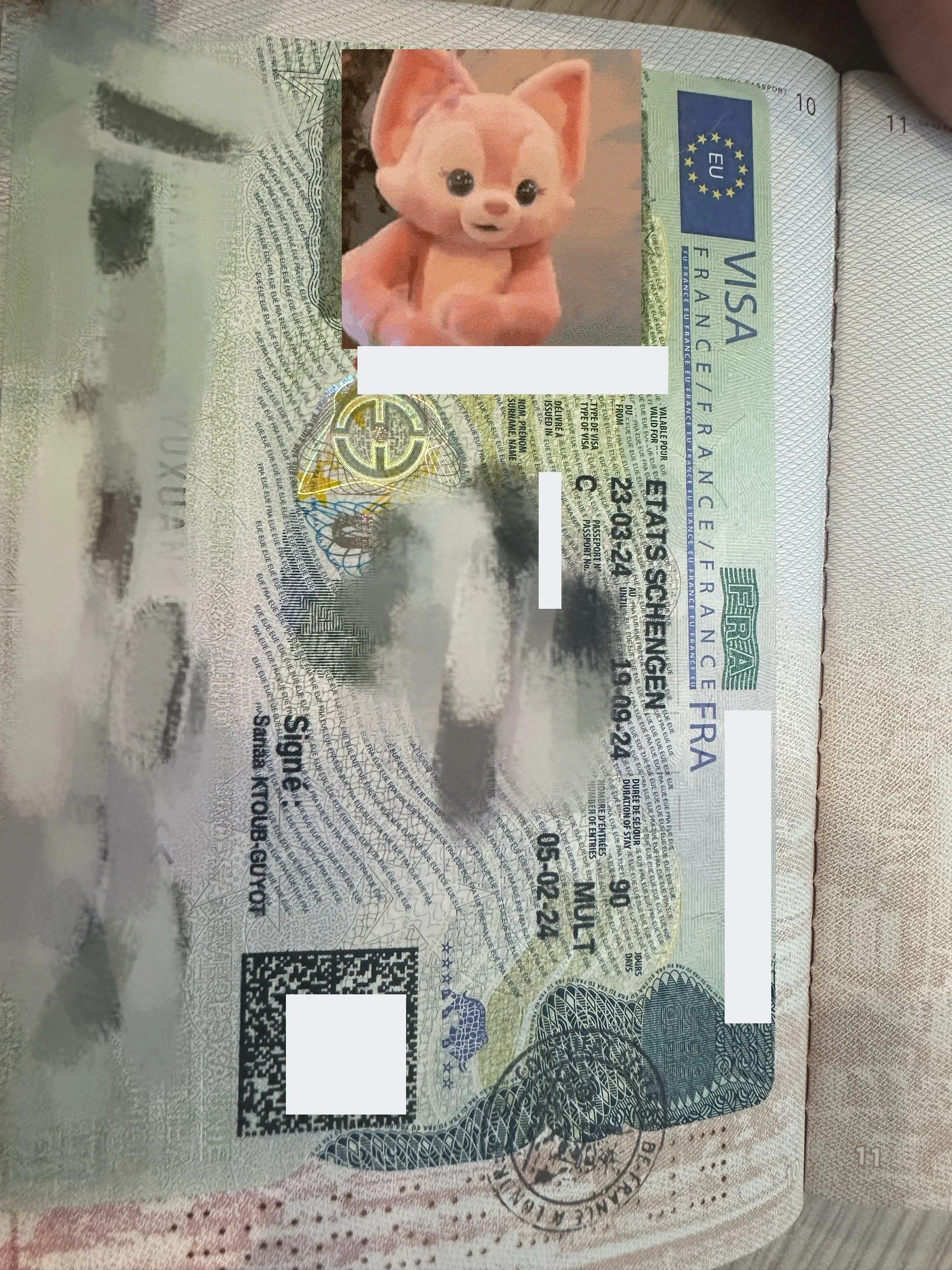 【A Dream Journey to France, Ms. Moreau's Travel Tale】🇫🇷 Ms. Moreau's Successful French Travel Visa Story 🌟