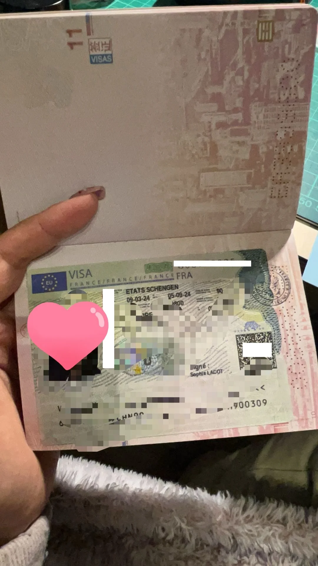 【A Trio's Dream in France】🇫🇷 Ms. Dubois, Ms. Leroux, and Ms. Martin's Successful French Travel Visa Story 🌟