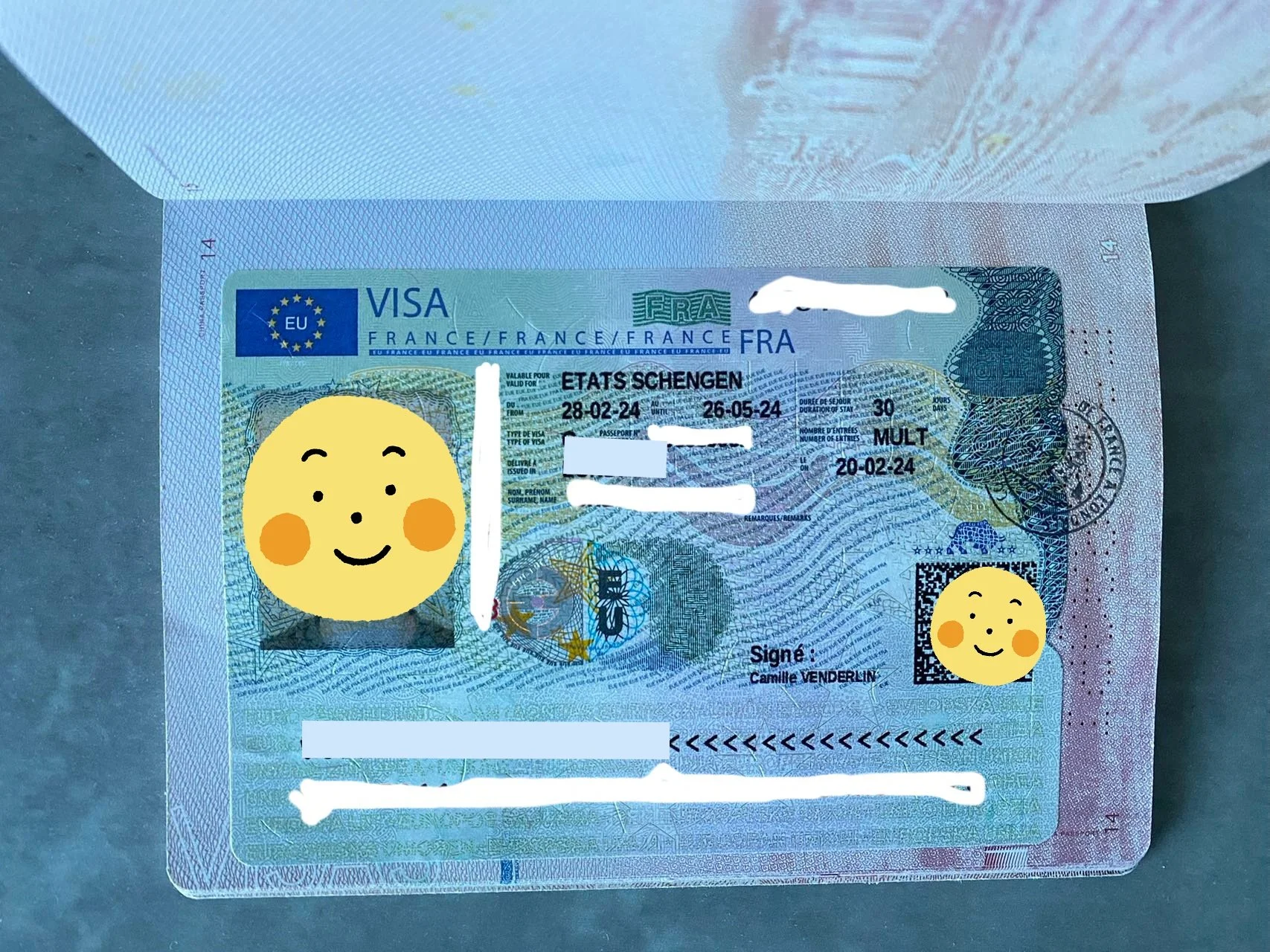 【Exploring France】🇫🇷 Mr. Dubois's French Travel Visa Story 🌟