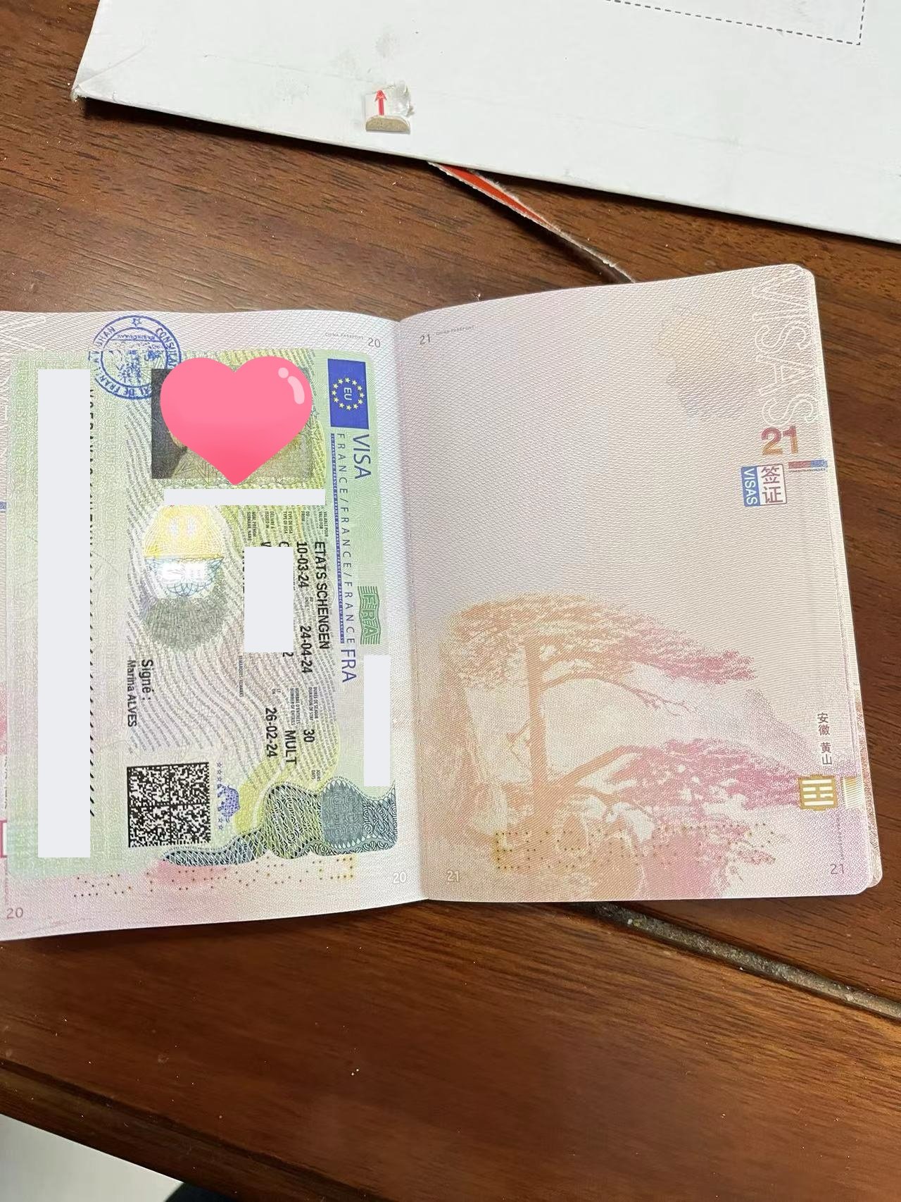 [From Dream to Reality] Monsieur Dubois &amp; Madame Leroux's Journey to a French Travel Visa 🇫🇷✨