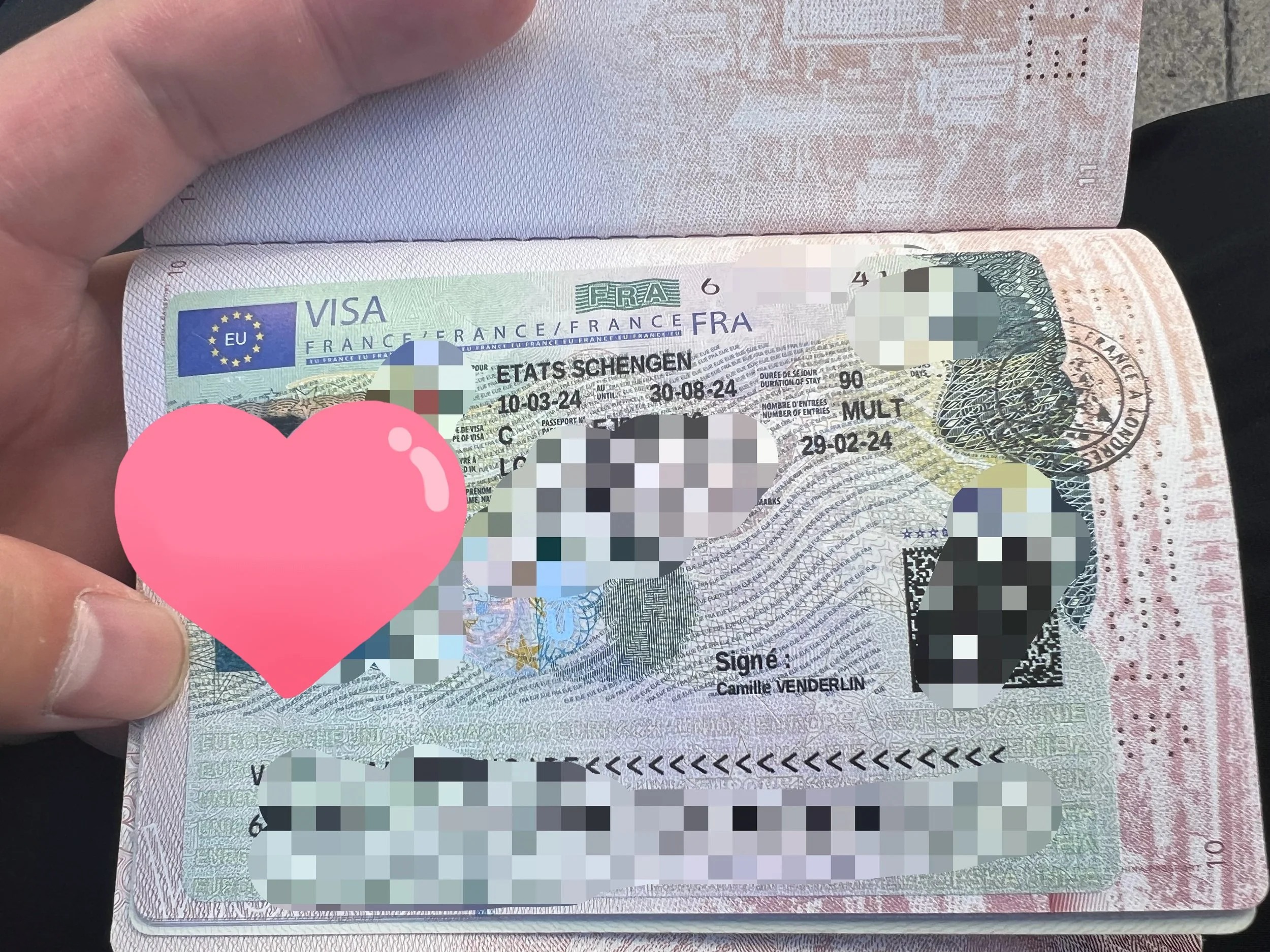 Mr. Dubois' French Adventure: The Little Secrets Behind Obtaining His Visa 🗺️🇫🇷