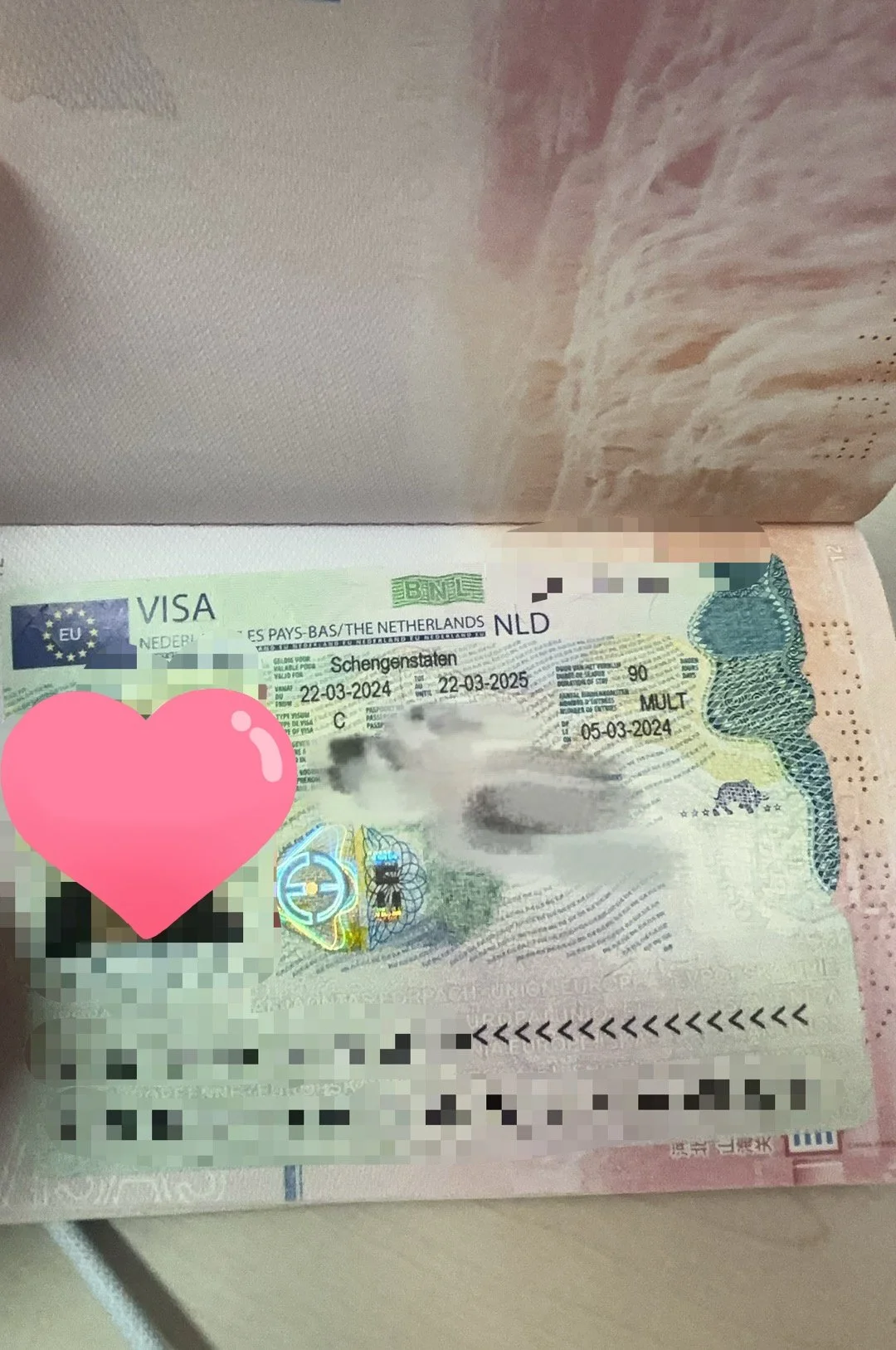 【Dreaming of the Netherlands】Mr. Van der Berg's Successful Journey to the Land of Windmills and Tulips 🌷✈️