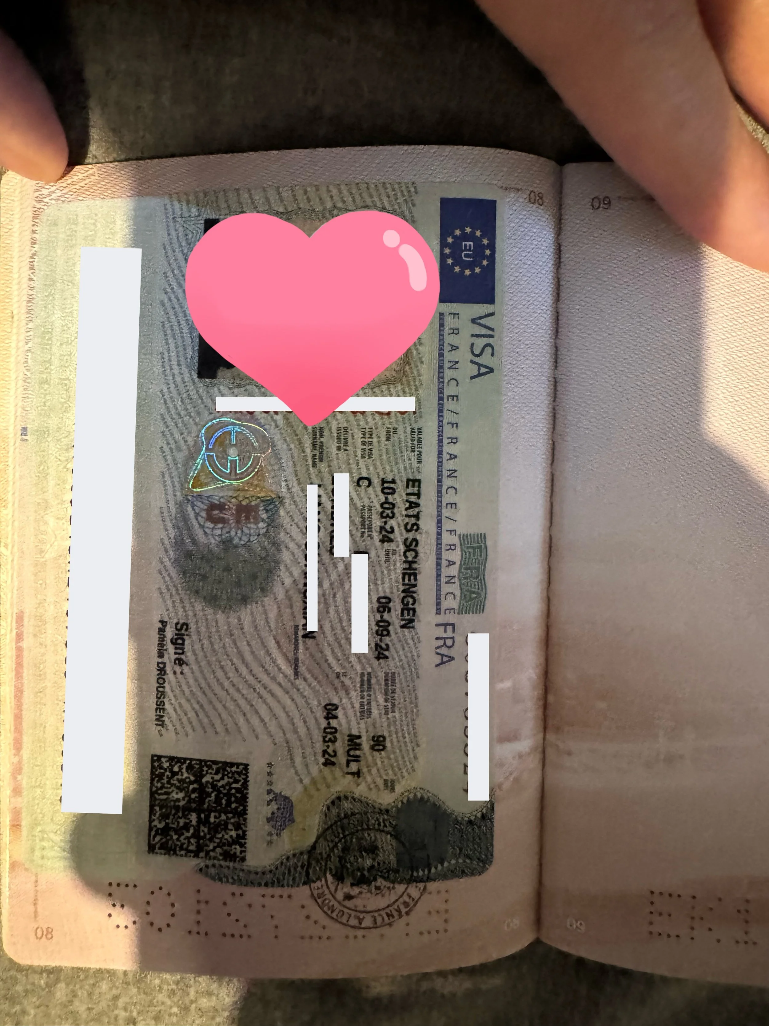 The latest case | Single student granted a six-month visa - Mr. Dubois's French travel visa case share