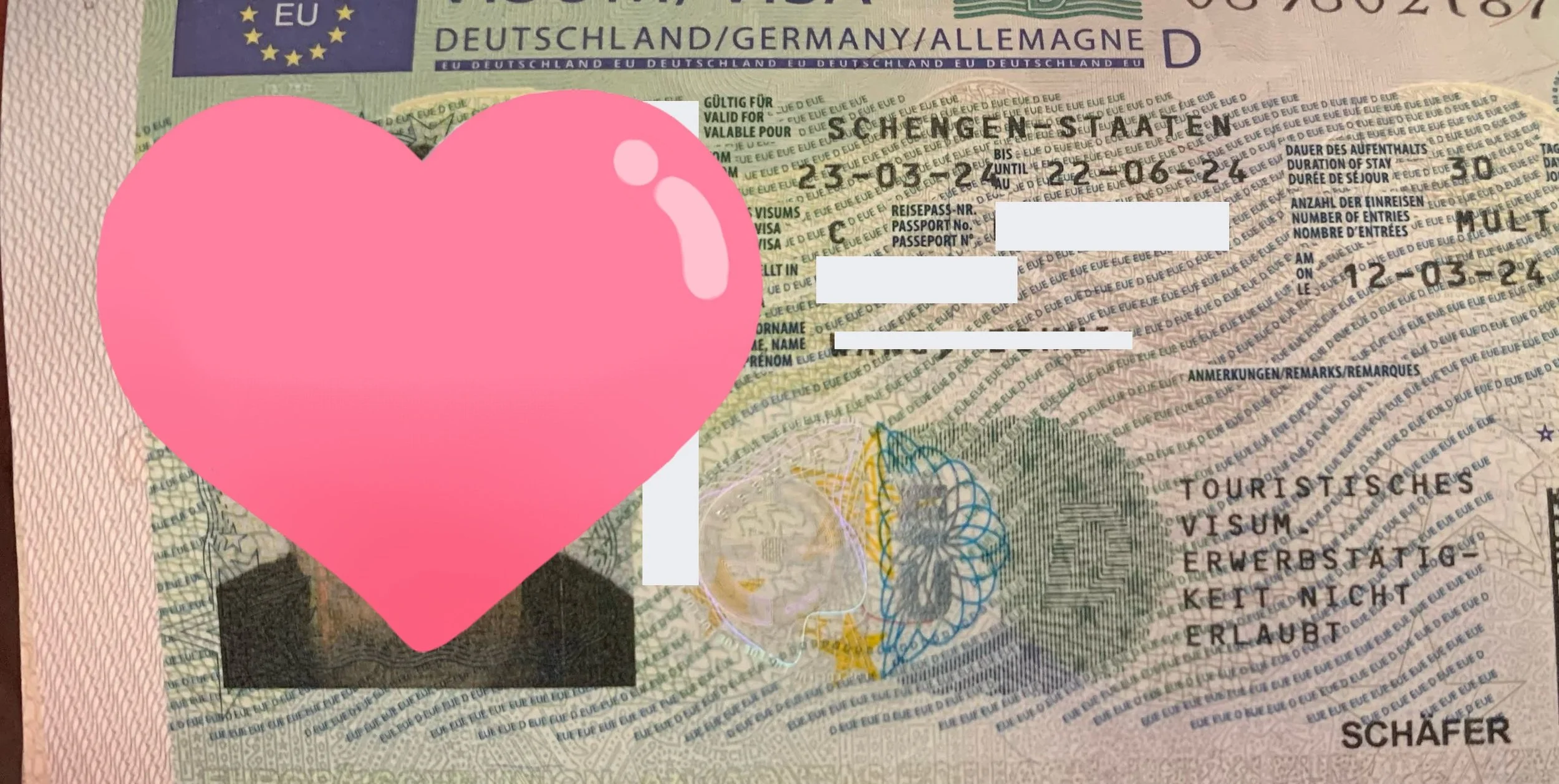 The latest case | Single student with travel history to developed countries - Mr. Schmidt's German travel visa case share