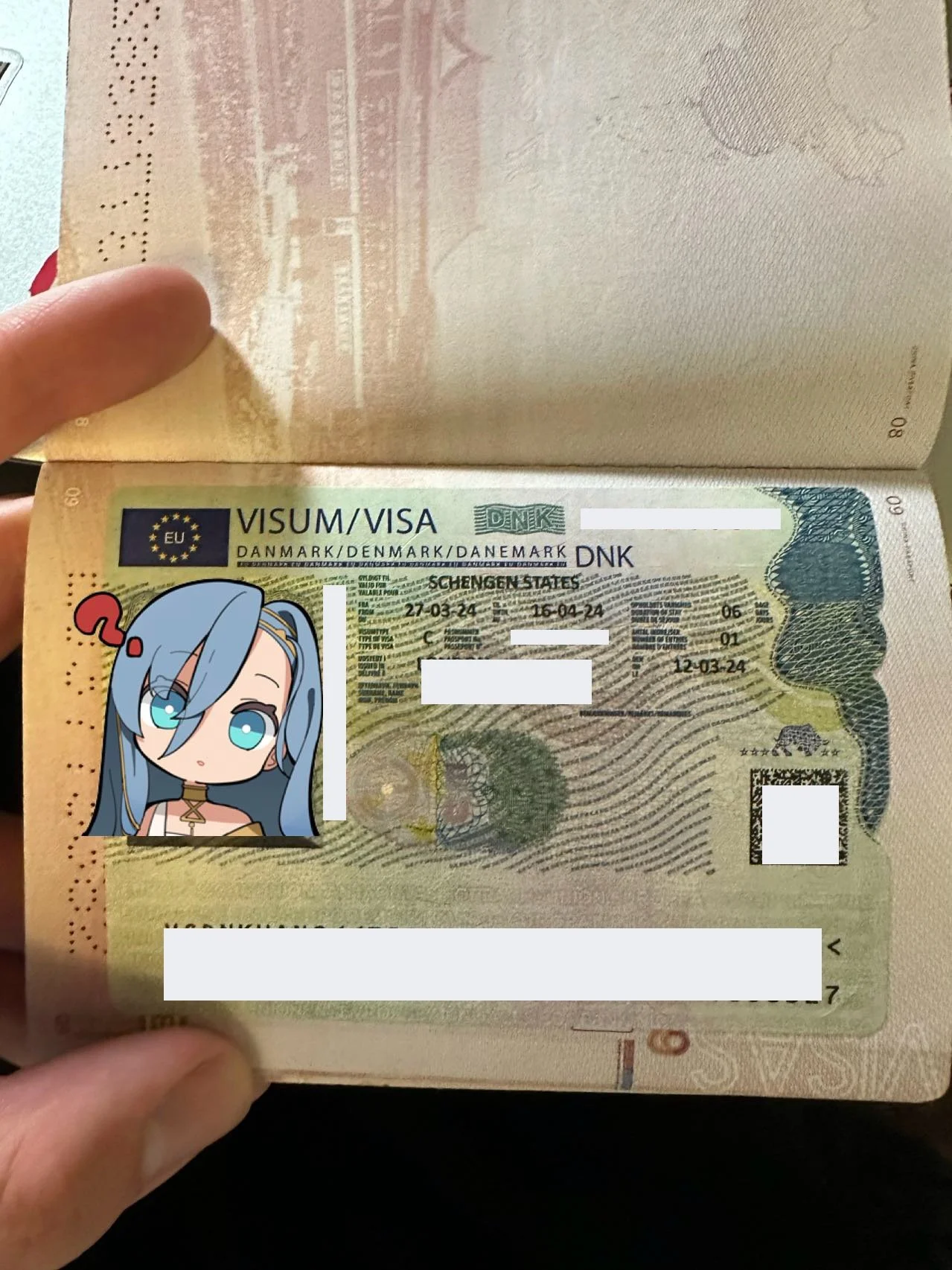 The latest case | Single student with travel history to developed countries - Mr. Jensen's Danish travel visa case share