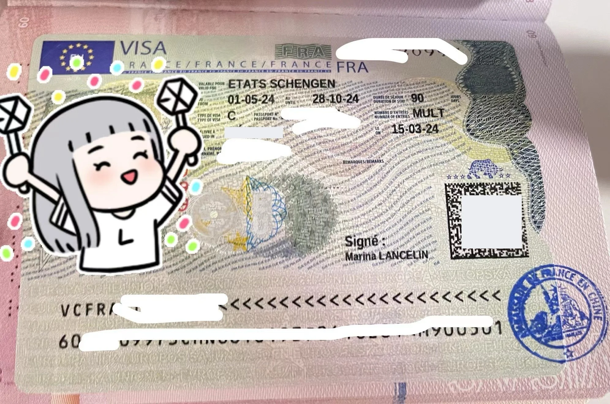 The latest case | Married and employed with a Schengen record - Madame Dubois's French travel visa case share