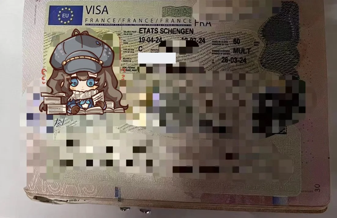 [The Latest Case Study | A Single Student with Developed Country Travel History: Mr. Martin's French Travel Visa Experience]