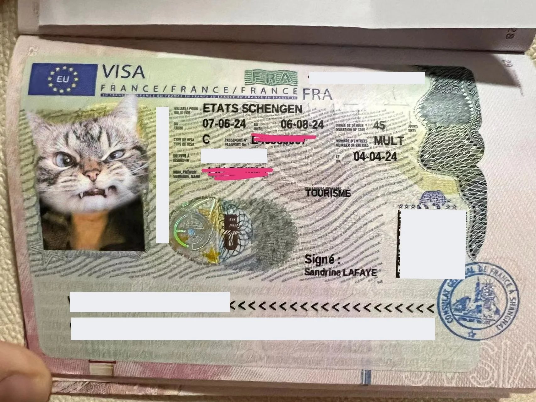 Ms. Dubois's Journey to France - Penning a Romantic Chapter with a Visa 🇫🇷✨