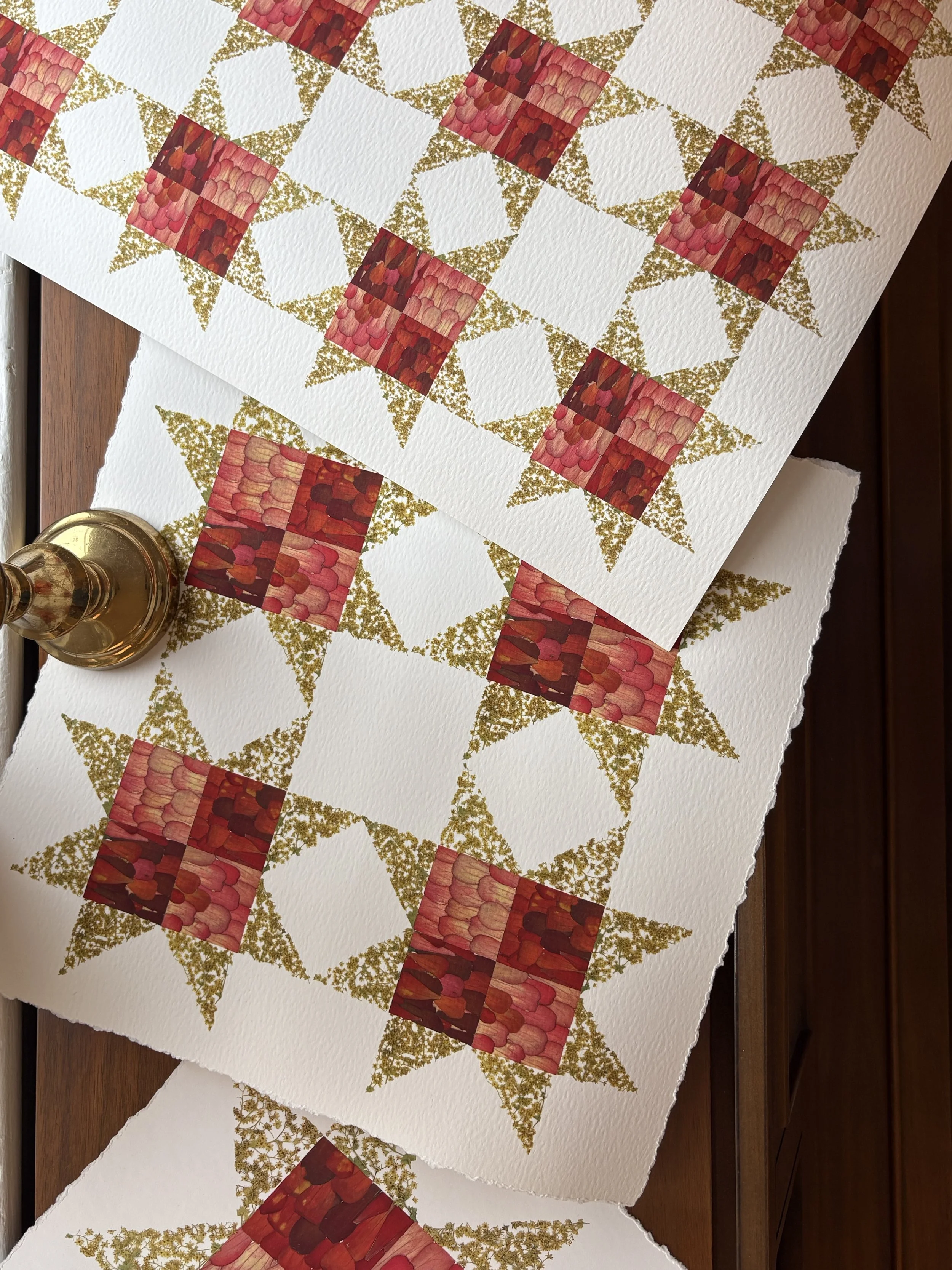 fullsizeoutput_7c70.jpeg (Copy)