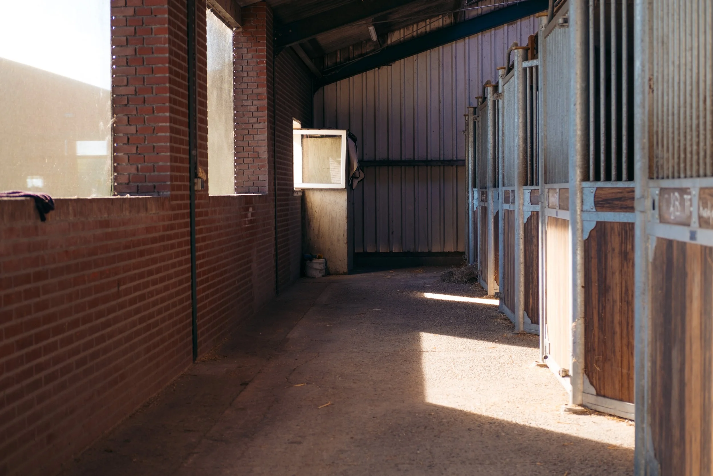 Interieur van een paardenstal met stro, houten balken en zacht licht