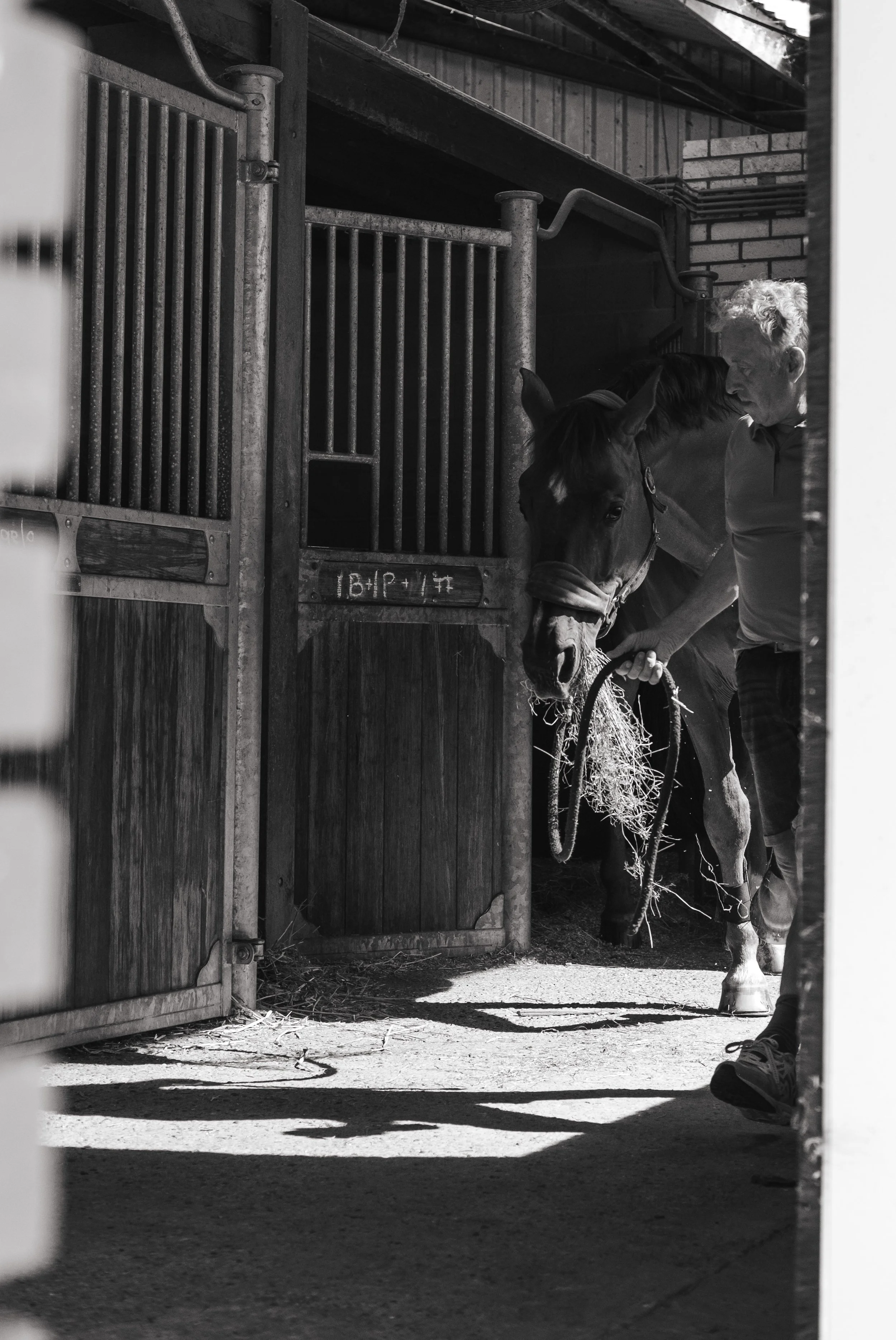 Paard dat rustig in zijn box staat in een houten paardenstal