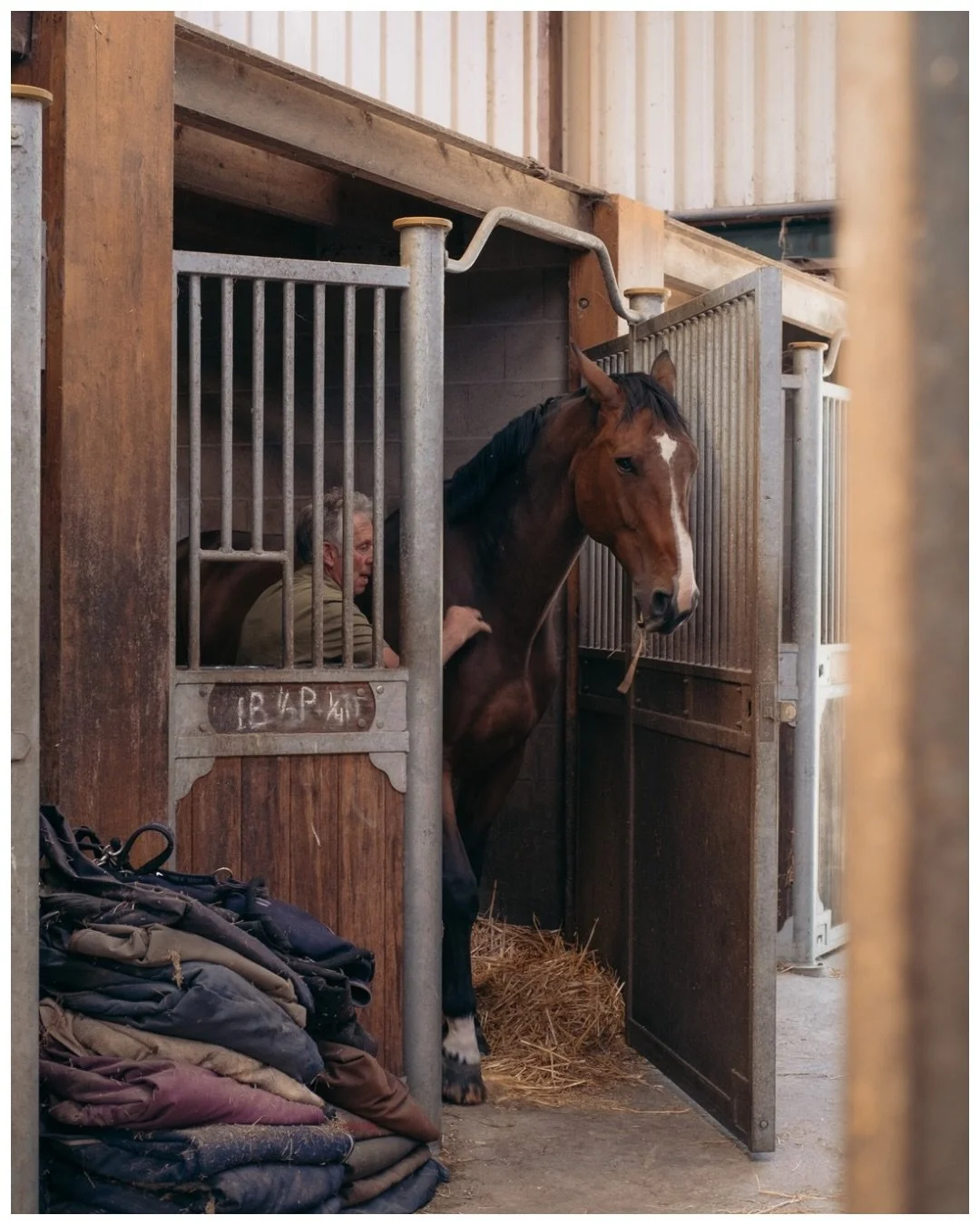Last year I got the opportunity to photograph at a horse stable. When walking inside this stable, I felt a certain rhythm &mdash; footsteps, soft breathing and the dogs following along... While I was quietly following along, you could feel an indescr