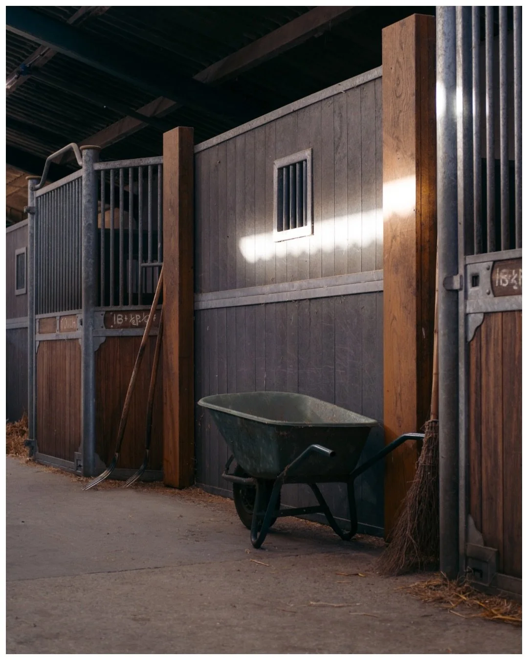 Catching the light inside. 
.
.
.
#craftsmenship #horses #stablehorses #horsephotography #wildlife