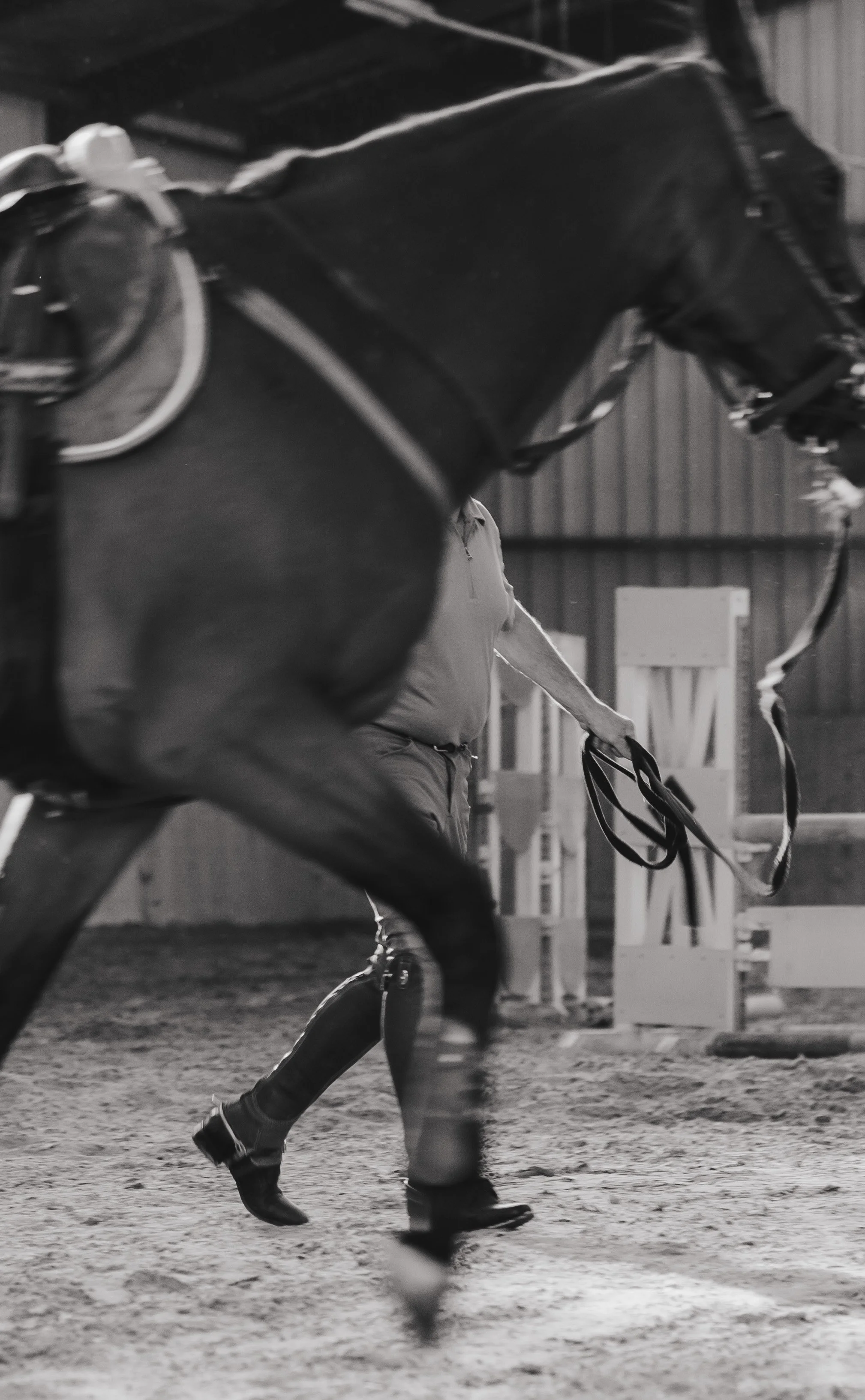 Voorbereiding van een paard voor een rit met ruiter in de stal