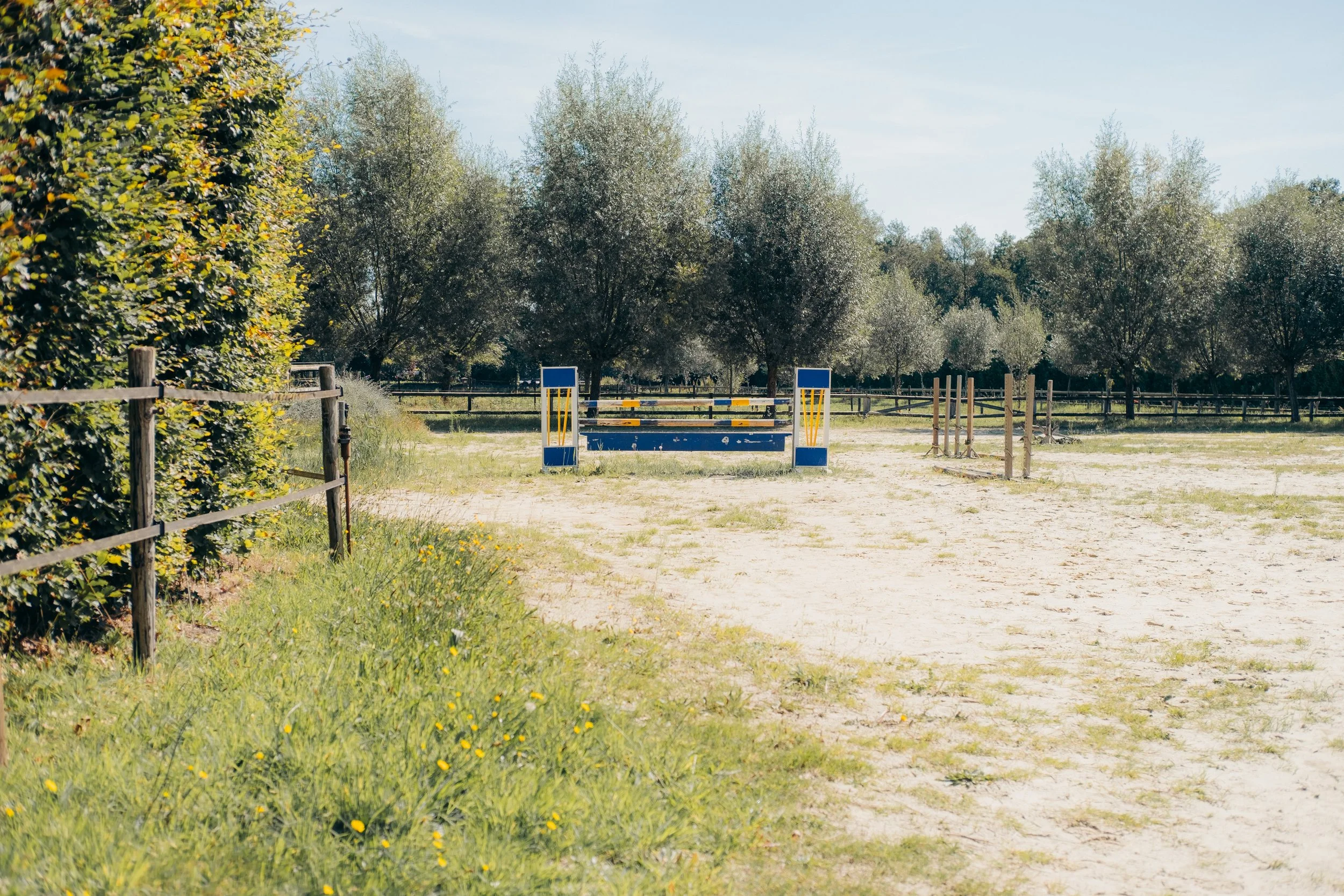 Springtoestel in paardenstal