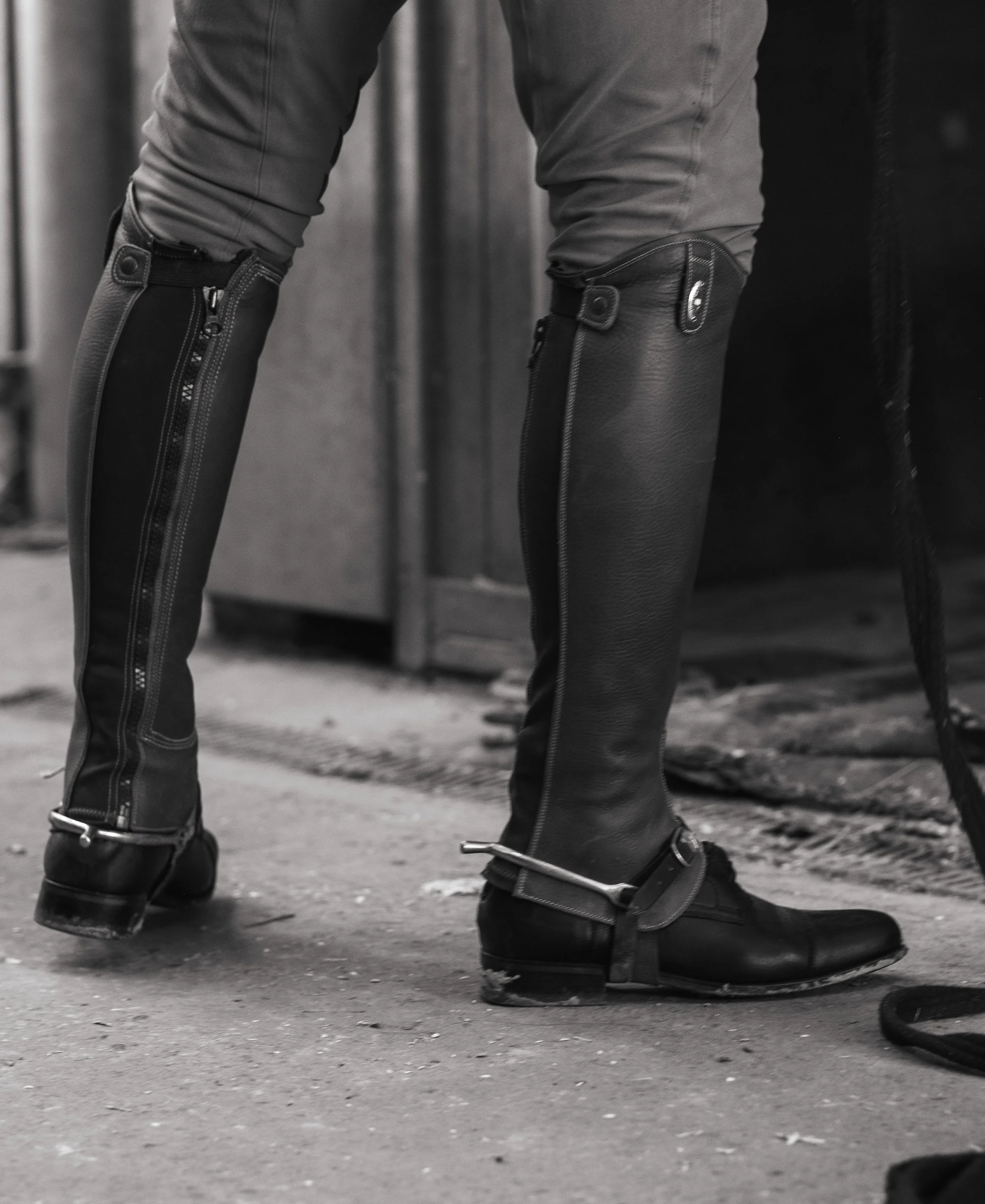 Voorbereiding van een paard voor een rit met ruiter in de stal