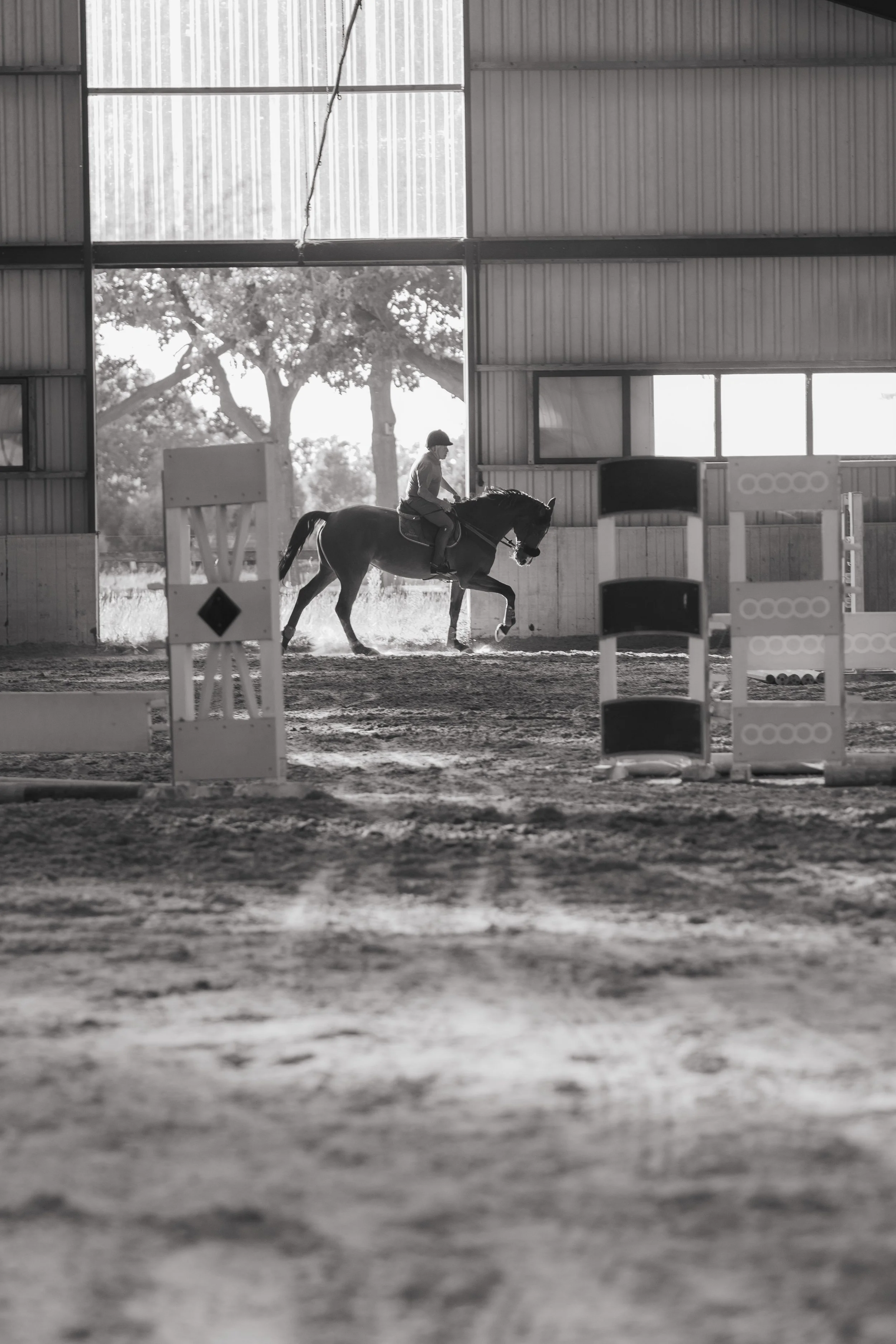 Paard en ruiter die beginnen met rijden op een open terrein