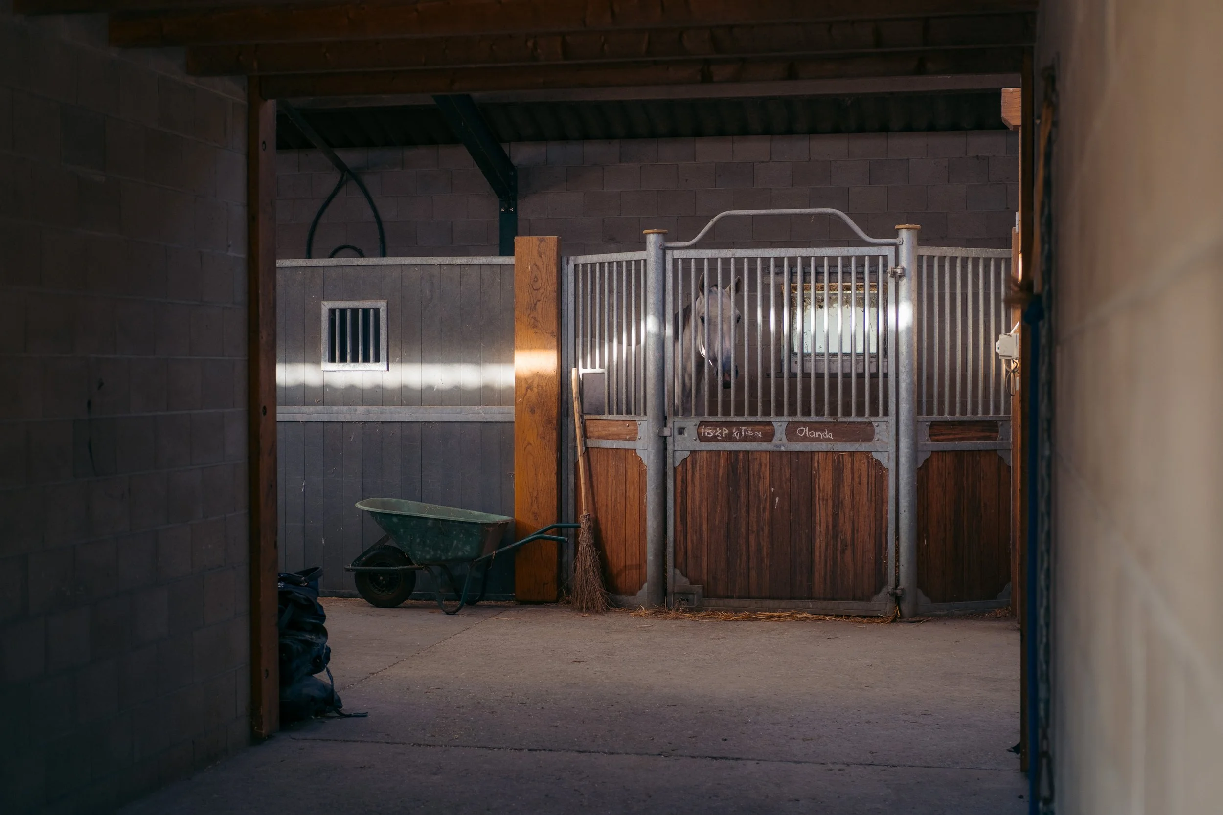 Interieur van een paardenstal met stro, houten balken en zacht licht