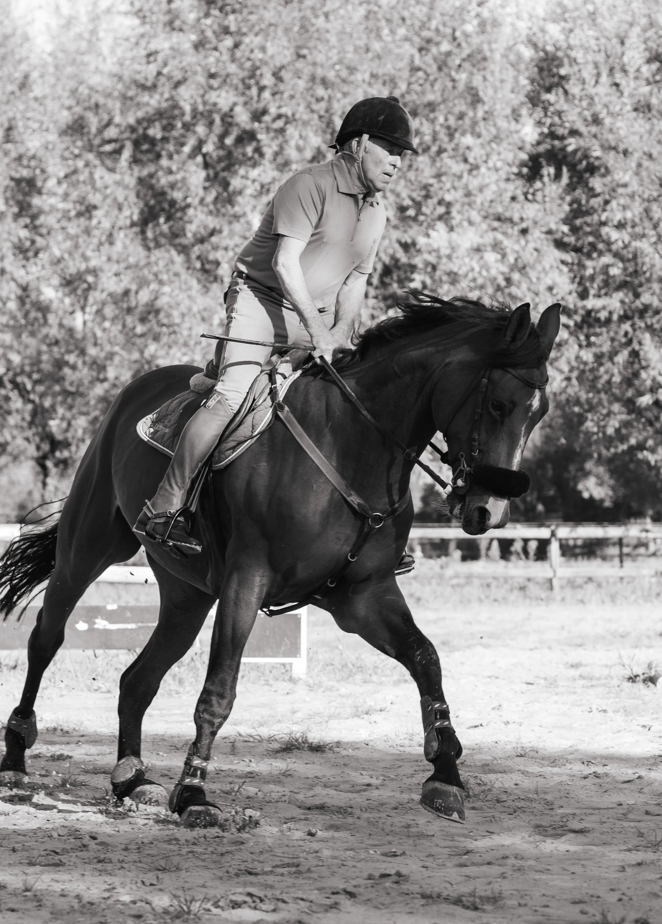 Paard en ruiter die beginnen met rijden op een open terrein