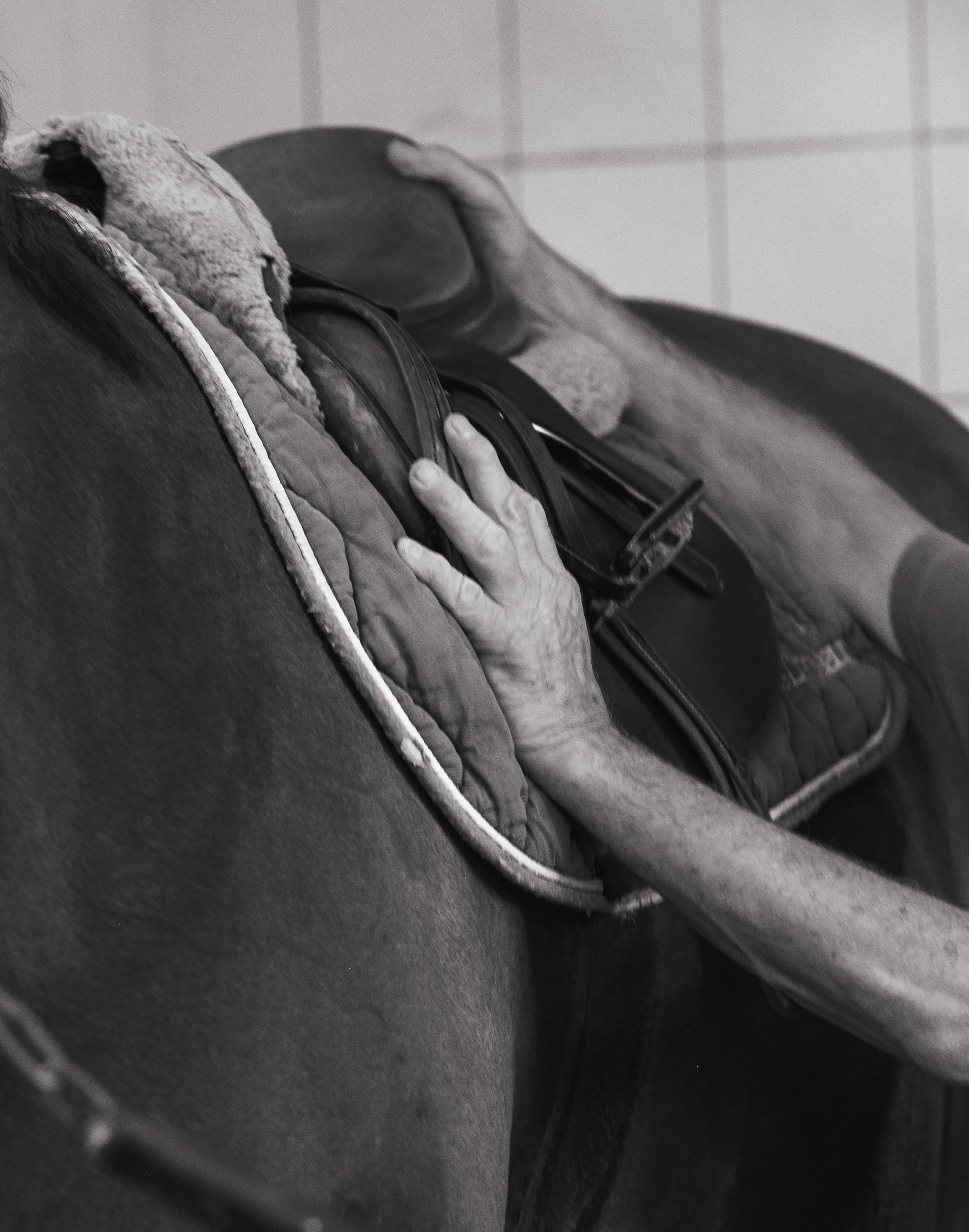 Ruiter die een paard zadelt in een paardenstal