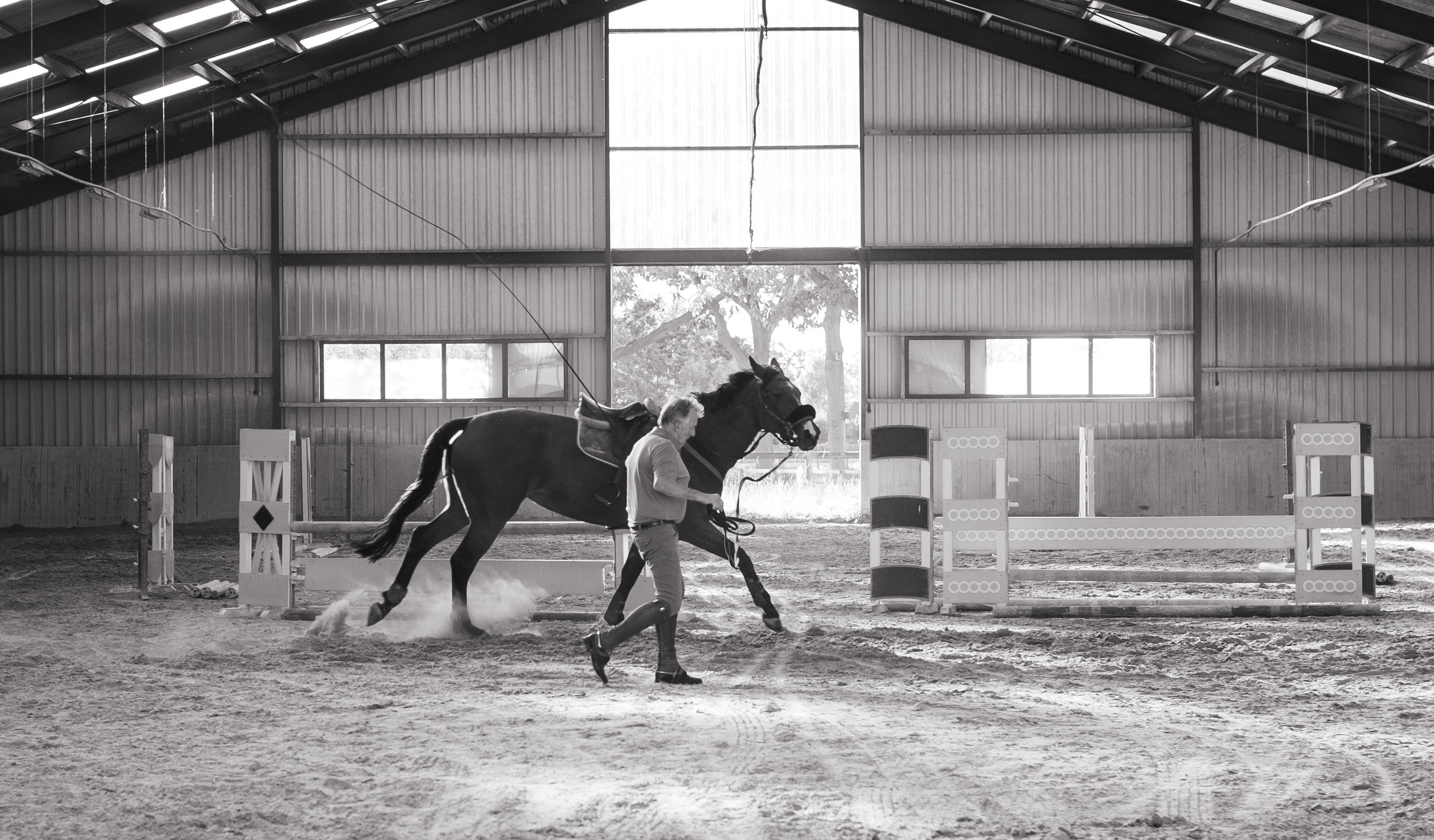 Paard en ruiter die beginnen met rijden op een open terrein