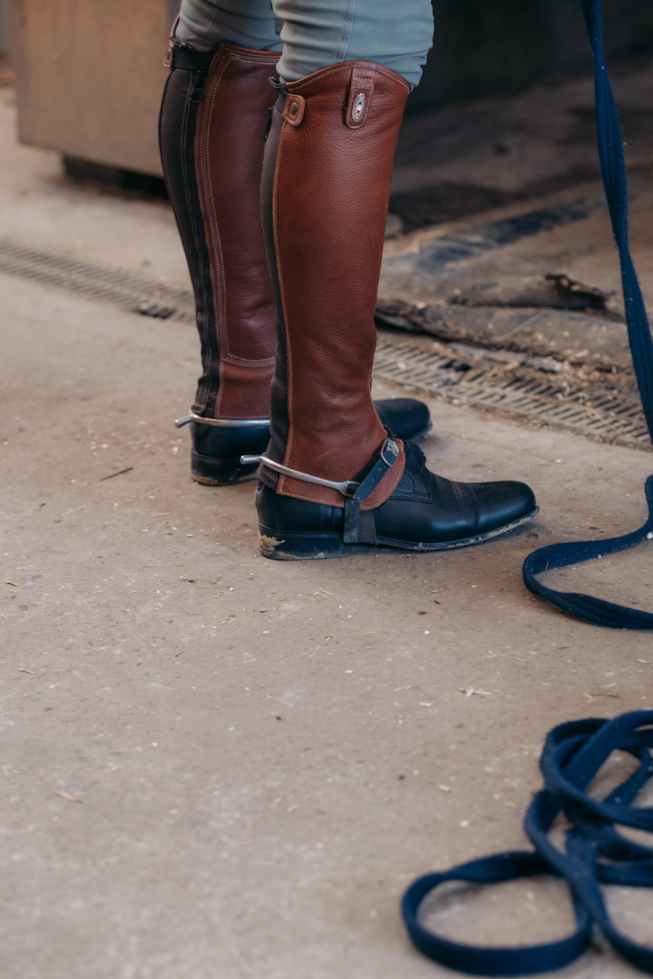 Voorbereiding van een paard voor een rit met ruiter in de stal