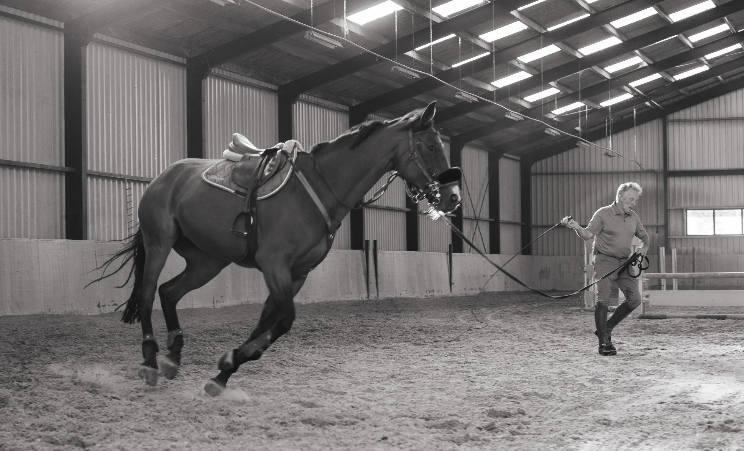 Paard en ruiter die beginnen met rijden op een open terrein