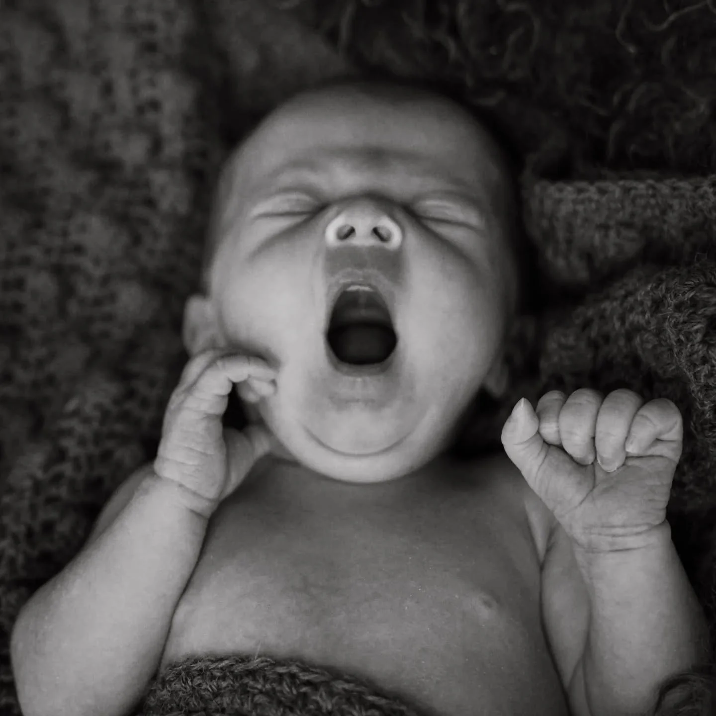 Det skjer masse g&oslash;y om dagen - spesielt mtp nyf&oslash;dtfotograferinger 🧸

I disse dager planlegger jeg noe, forh&aring;pentligvis, g&oslash;y for de av dere med babyer i Aurskog-H&oslash;land sein v&aring;r/tidlig sommer 🌸 S&aring; sitter 