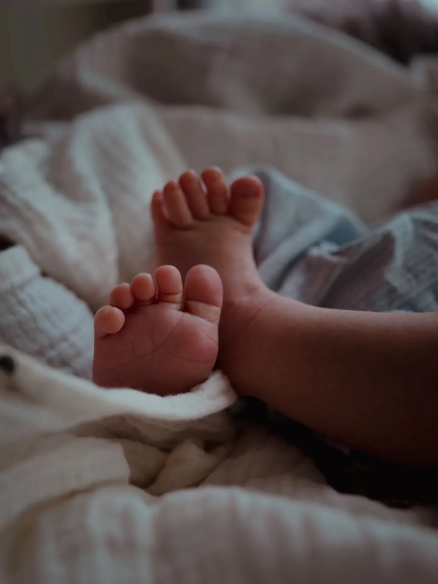 Plutselig en dag er de fulle av fart og egne meninger. I dag er de fortsatt bittesm&aring; mennesker - med sm&aring; t&aelig;r, dun i nakken og hender p&aring; s&oslash;ken etter trygghet 🤍

 Ikke glem &aring; ta vare p&aring; de &oslash;yeblikkene.