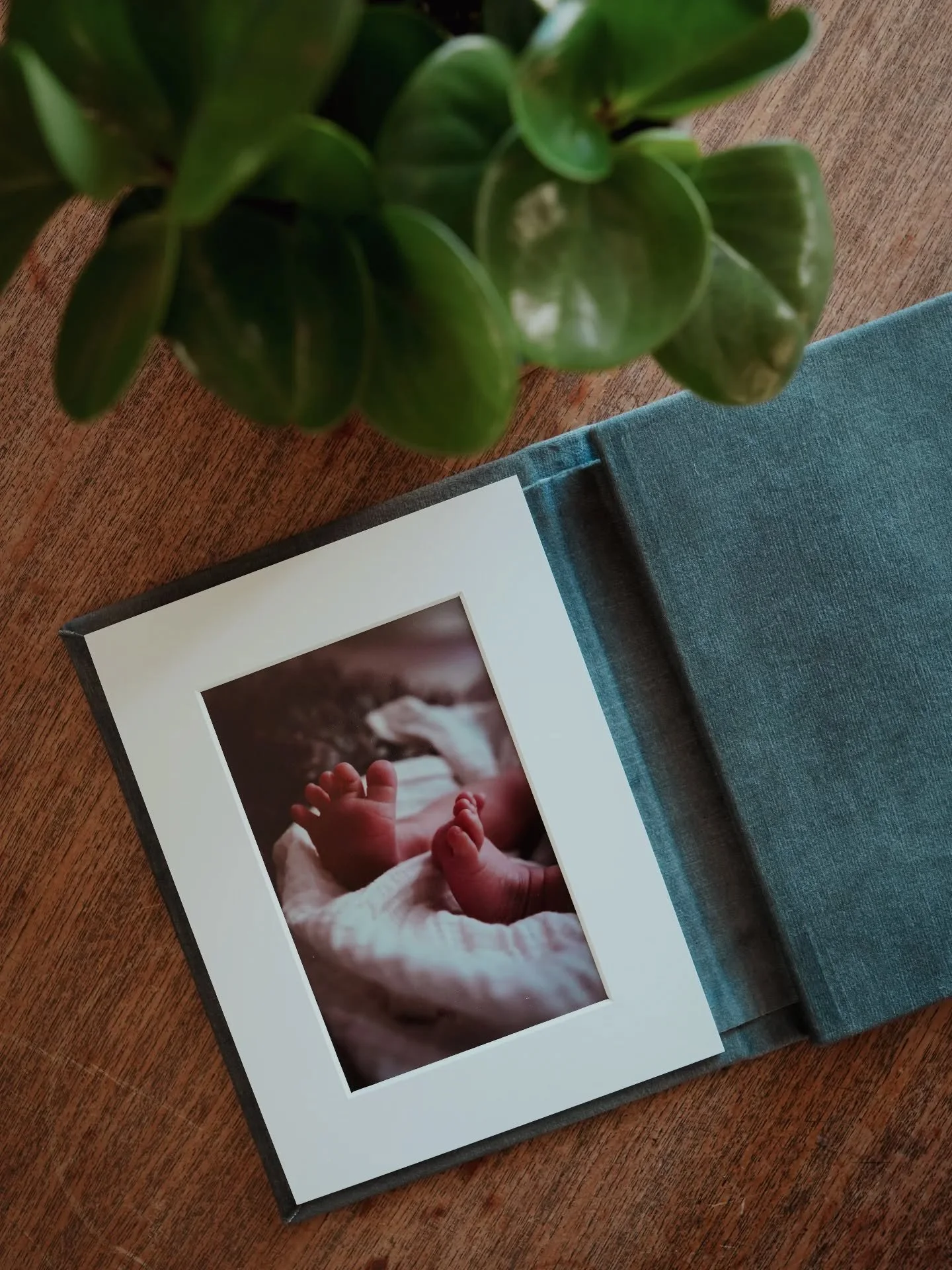 Til helga venter x2 nyf&oslash;dtfotograferinger i Trondheim, og jeg gleder meg til nok en gang &aring; f&aring; forevige sm&aring; tottelotter som disse 🥹💫 

Venter du en liten bebis i &aring;r? Jeg har fremdeles &aring;pent for noen nyf&oslash;dt