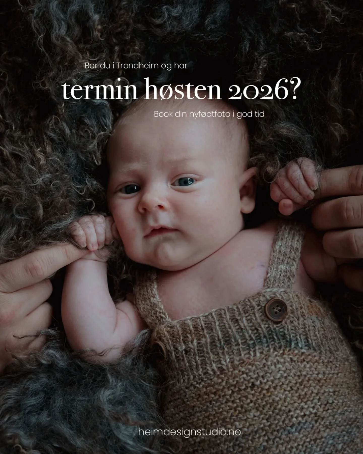 Bor du i Trondheim og omegn, 
med termin h&oslash;sten 2026? 🧸💫 

Jeg har ledige datoer i september, oktober, november og desember. Men ikke n&oslash;l med &aring; ta kontakt dersom du &oslash;nsker fotografering av den lille.Termindatoer er flykti