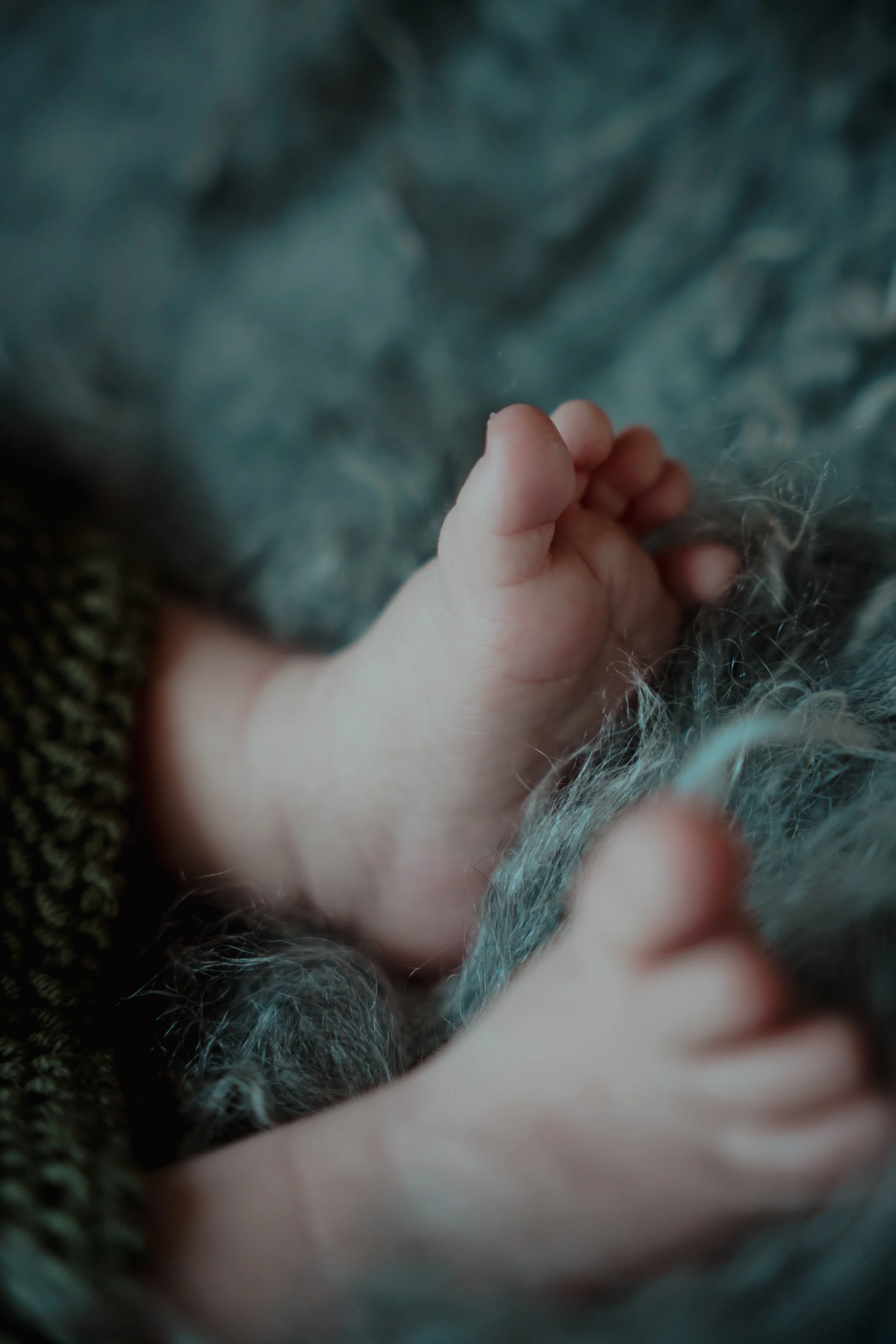 Nærbilde av en babys hånd som hviler på et mykt, grått saueskinn. Bakgrunnen er uklar, og fokuset er på den lille hånden og pelsen.