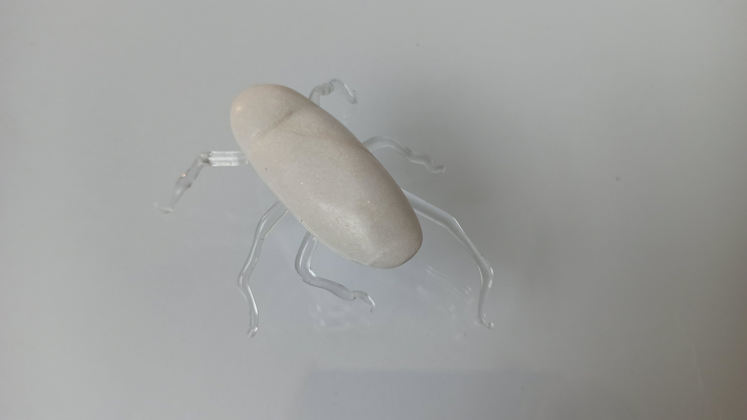 Ambra Viviani - And the solution is to convert them into highly digestible protein sources - Carrara marble and glass - 2019 - China Academy of the Arts Hangzhou China - Atelier Mondial