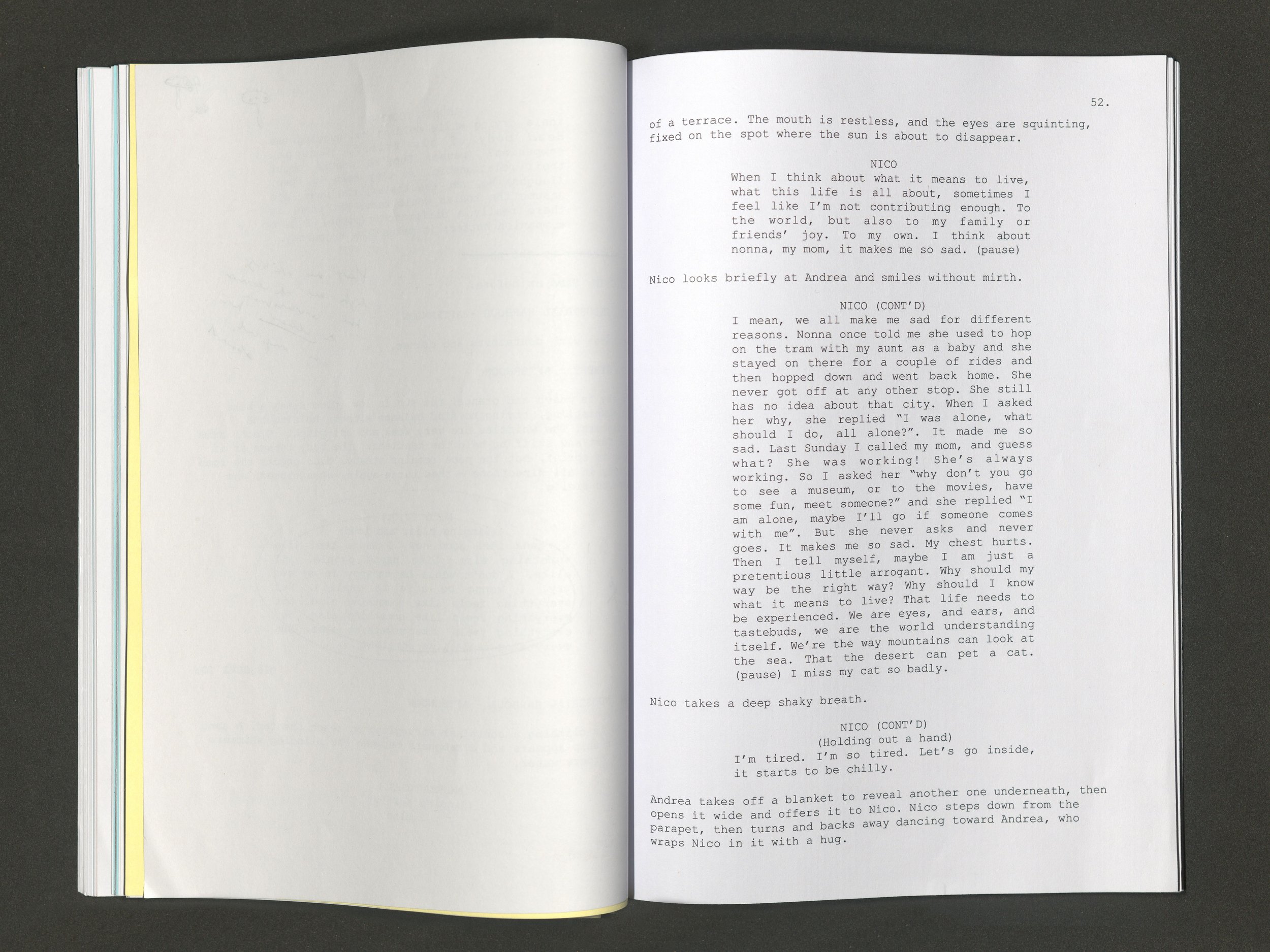 Ambra Viviani - Script, DISCOVERY, page 52, 2024 digital print, aluminum frame 30x40 cm - Kunsthalle Palazzo