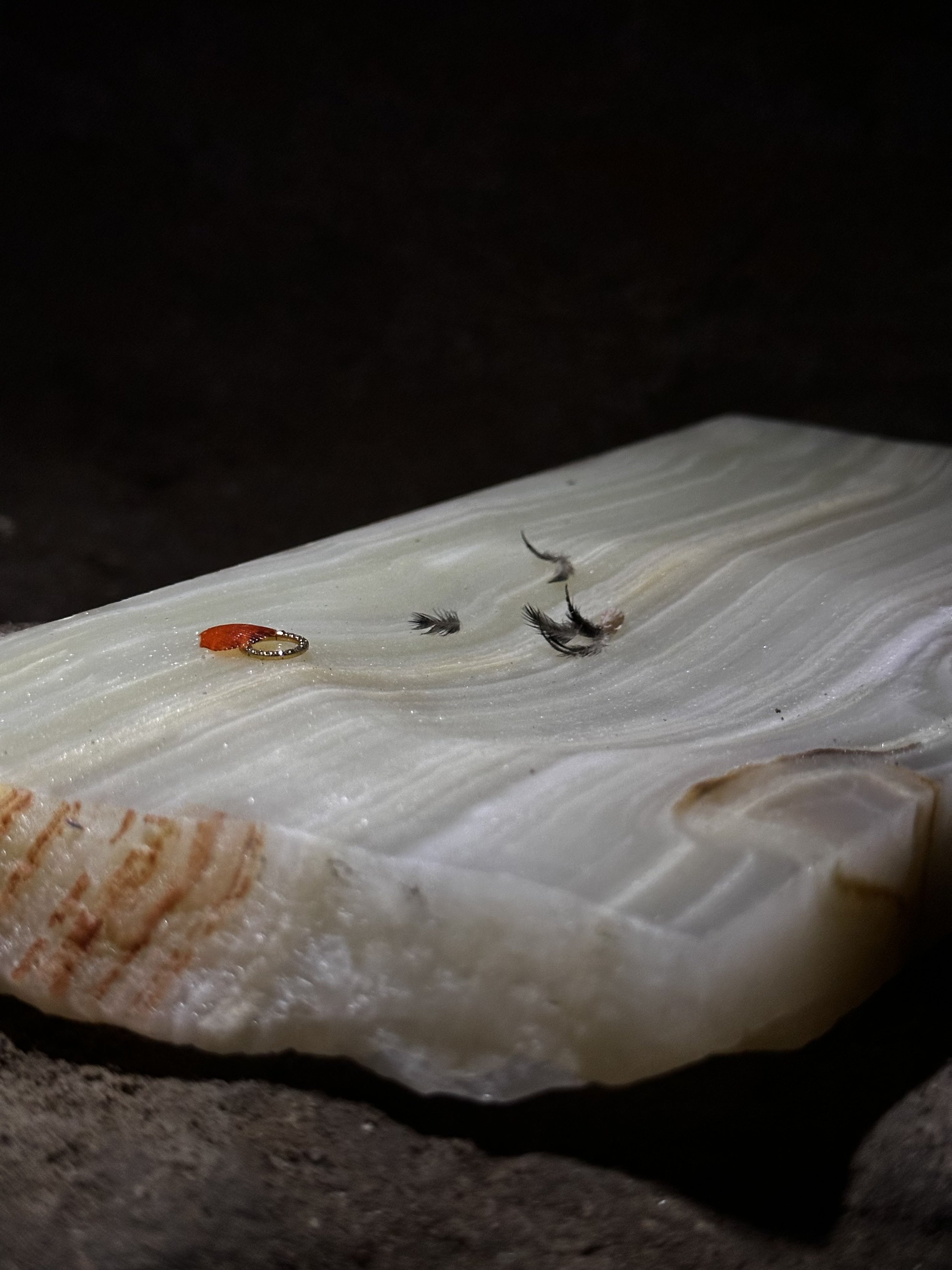 WHAT SHAPE SHOULD I FILE MY NAILS, LONG ENOUGH TO FILE MEMORIES BENEATH MY NAILS, MEMORIES FILED SMALL ENOUGH TO BE SAFE UNDER MY NAILS, SAVOURED LATER — onyx sculpture / scultura in onice by Italian contemporary artist Ambra Viviani, presented at th