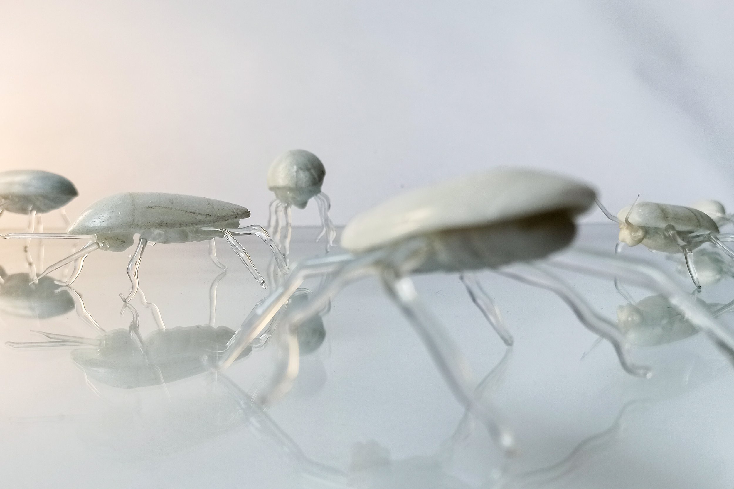 Ambra Viviani - And the solution is to convert them into highly digestible protein sources - Carrara marble and glass - 2019 - China Academy of the Arts Hangzhou China - Atelier Mondial