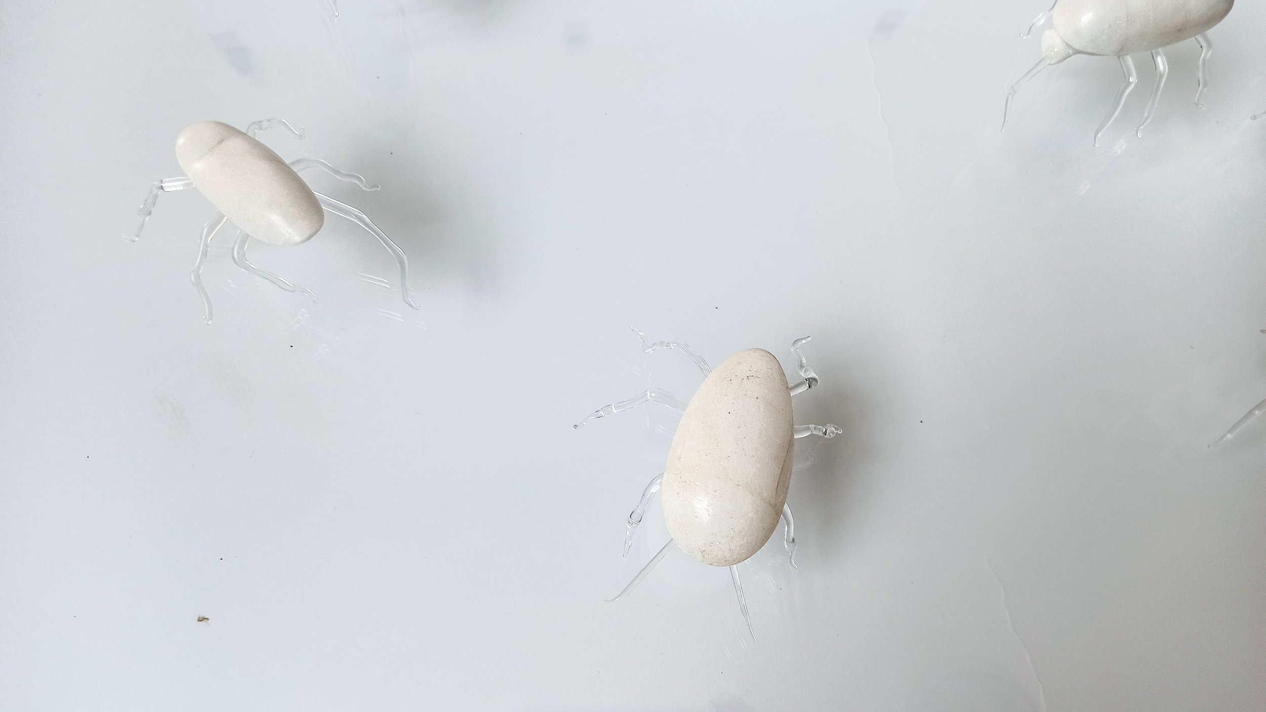 Ambra Viviani - And the solution is to convert them into highly digestible protein sources - Carrara marble and glass - 2019 - China Academy of the Arts Hangzhou China - Atelier Mondial