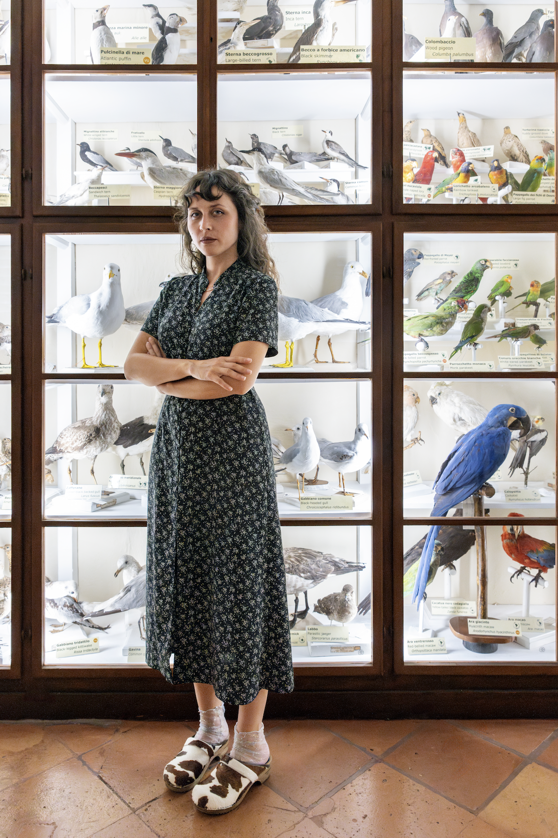 Ambra Viviani artist portrait Museo Fisiocritici Siena