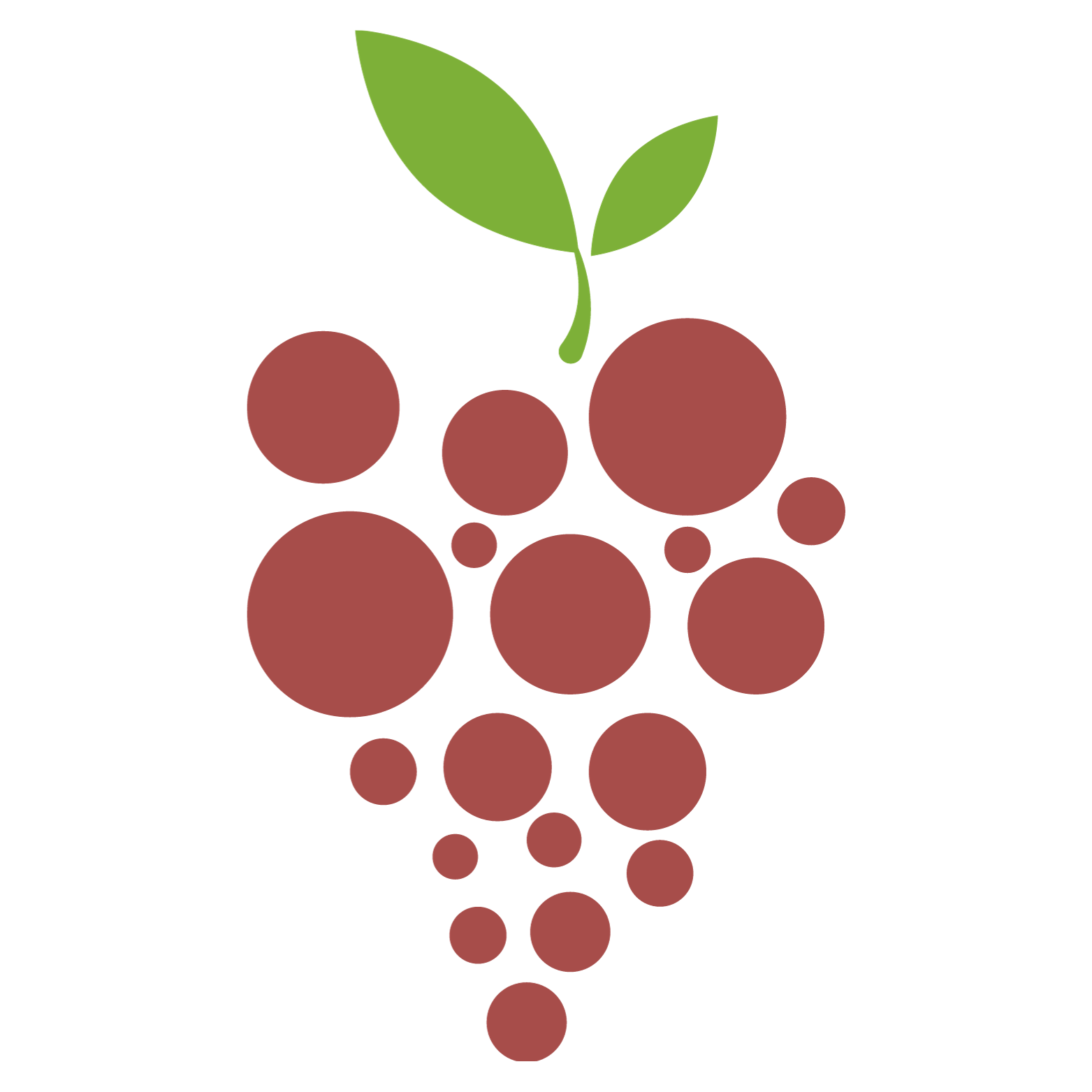 Red grape cluster graphic with green leaves on a black background.