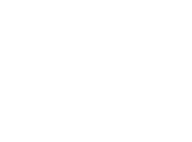 ARI_Logos_Logo White-11.png