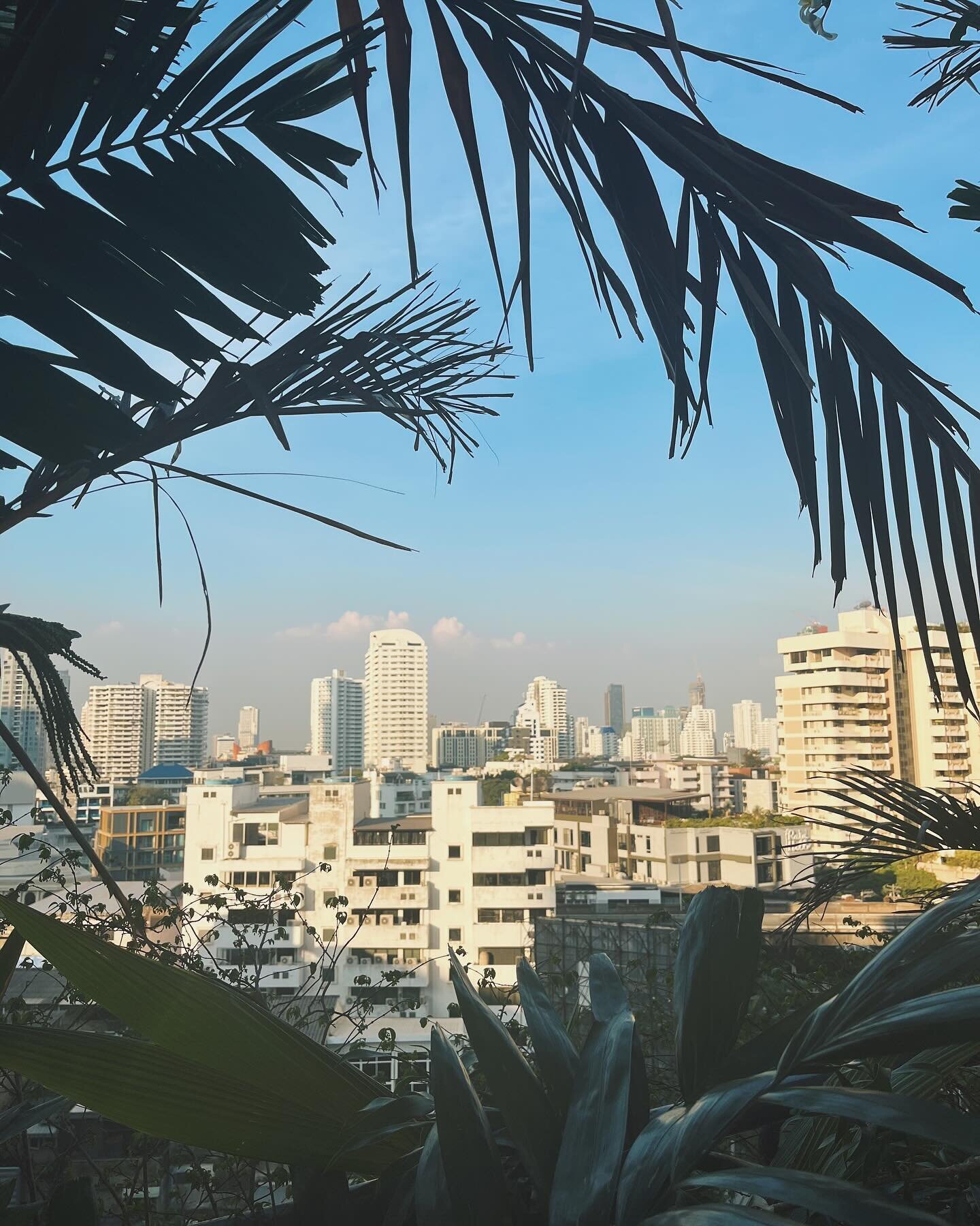 Easing myself into Bangkok by taking it one neighbourhood at a time. I&rsquo;m currently based in Thonglor, which I&rsquo;ve been told is one of the &lsquo;cooler&rsquo; areas of the city (why is saying cool so uncool). When I arrived late at night I
