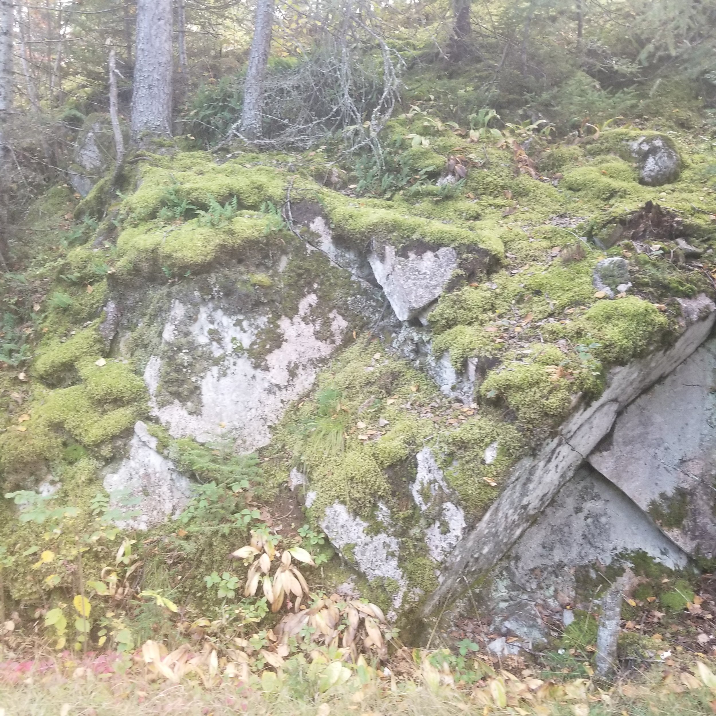 20230926_173636.jpg