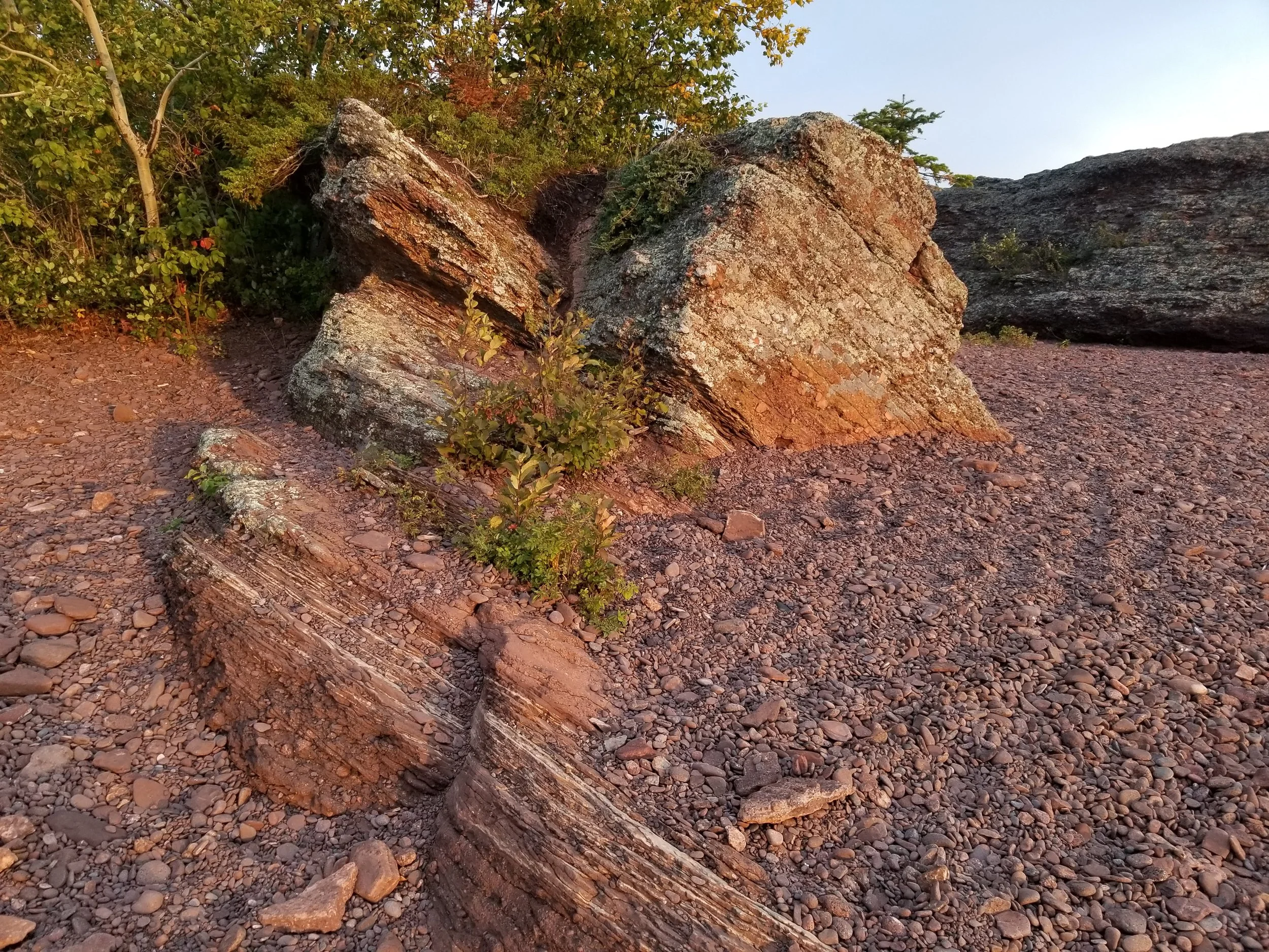 20230925_080956.jpg