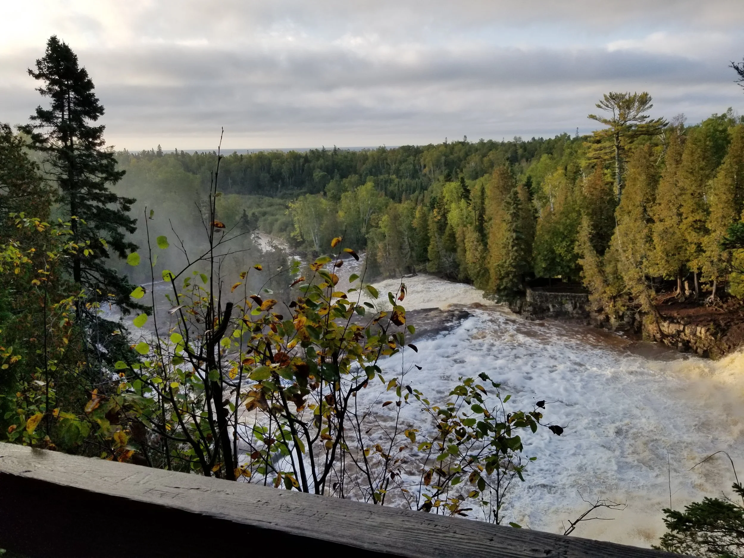 20230926_081156.jpg